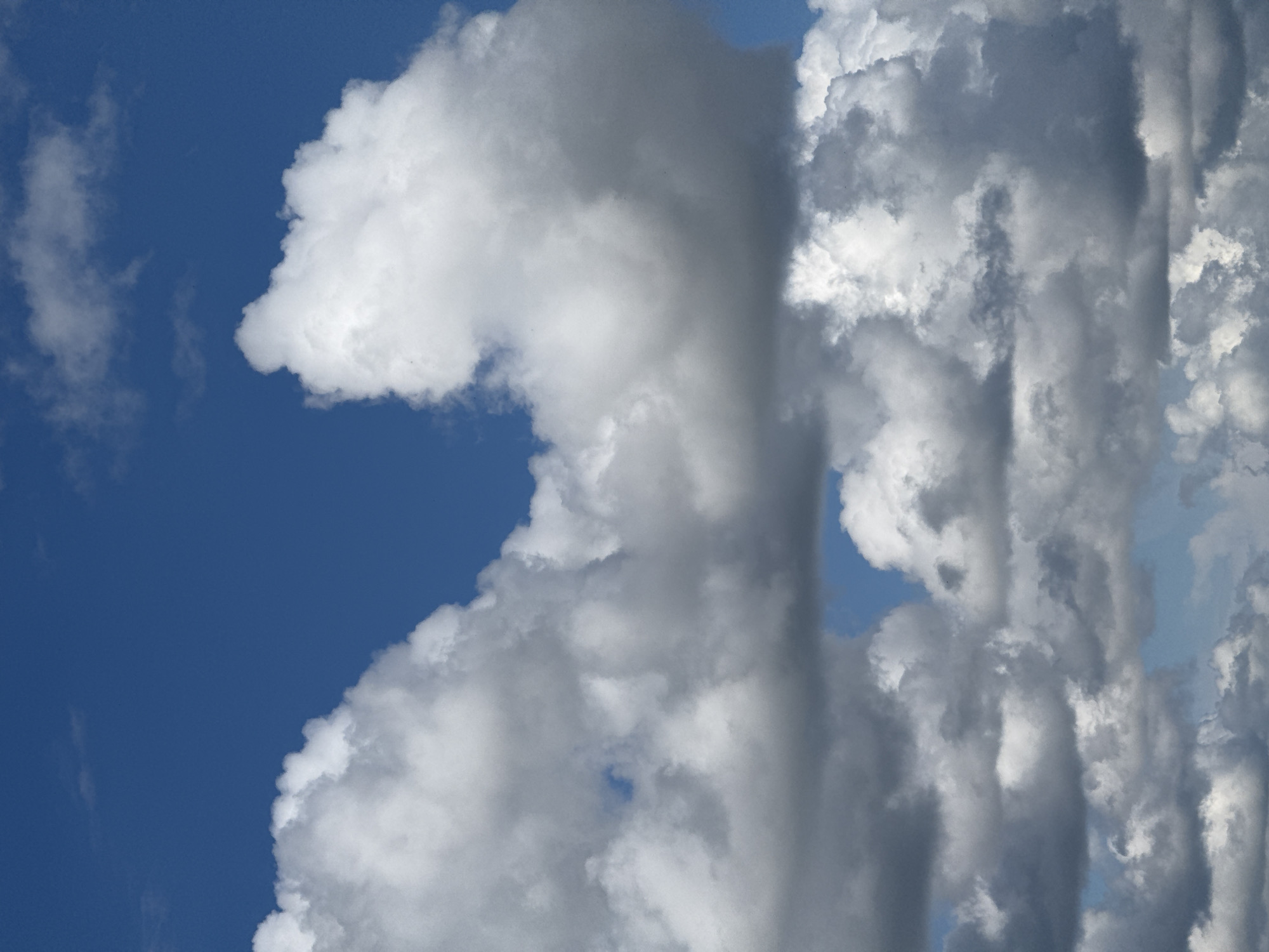 The image shows a sky filled with large, fluffy white and gray clouds against a bright blue sky. The clouds vary in density and texture, with some appearing wispy and translucent, while others are thick and opaque. The lighting suggests a sunny day, with shadows cast within the denser cloud formations. The image does not contain any elements that suggest a specific city, location, or any human presence. It is a natural landscape photo of the sky.