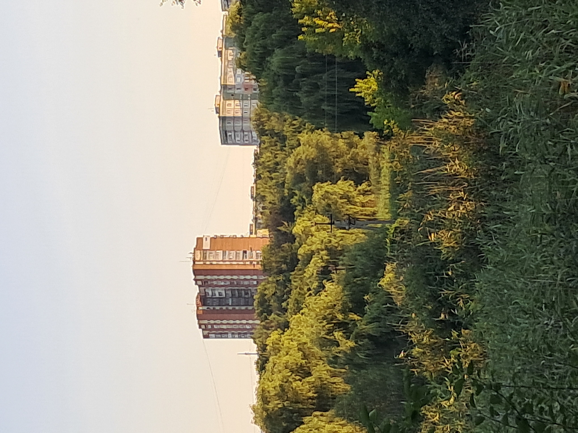 A long-shot, eye-level, outdoor medium shot captures a landscape with trees and buildings under a clear, light sky. The foreground is dominated by dense, green foliage that appears wild and untamed. The middle ground features a wall of lush, green trees, possibly weeping willows, with some of their leaves illuminated by a warm light, suggesting either sunrise or sunset.
Further in the background, two distinct apartment buildings are visible peeking through the trees. The building on the left is taller and appears to be constructed of red brick with a pattern of lighter-colored vertical stripes. It has numerous windows. To the right of the red brick building is a lighter-colored apartment building with a more modern, geometric design, featuring rows of windows.
In the middle ground, a dark, wooden utility pole with some crossbars and wires is visible, along with another similar structure further to the right. The overall impression is one of a residential area where nature has encroached upon the urban landscape. The lighting suggests a peaceful, natural setting, perhaps in the early morning or late afternoon.