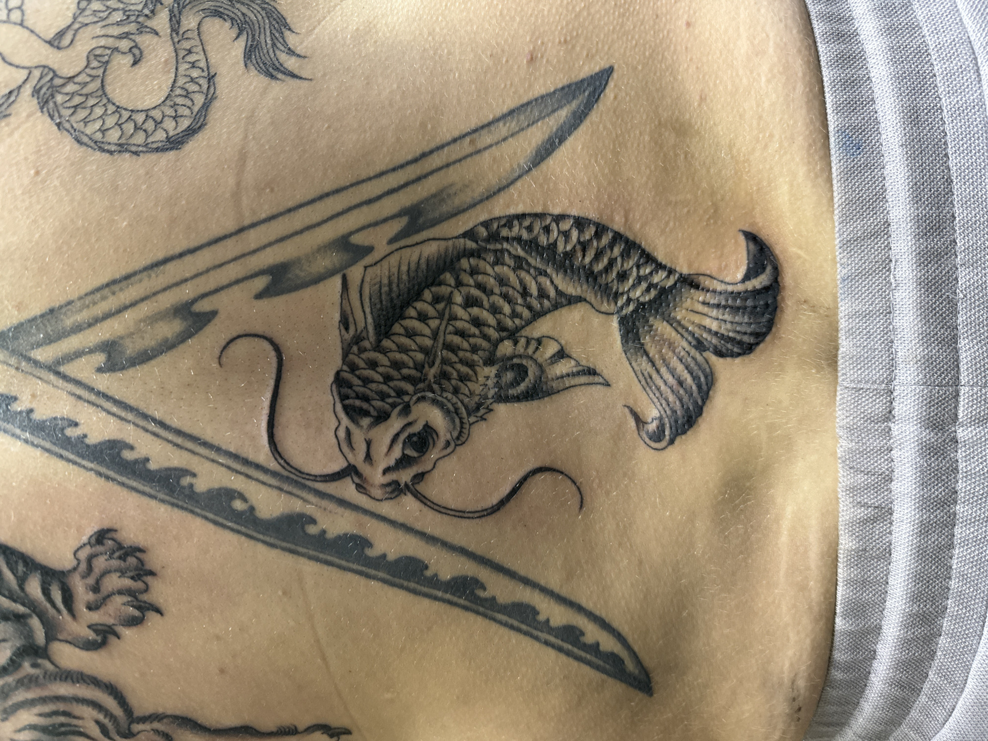 A close-up, waist-level view of a light-skinned individual's lower back/hip area in the city of Moscow, Russia, prominently displaying multiple black and grey tattoos. Centered on the back is a detailed tattoo of a koi fish, oriented with its head facing upwards and to the left, featuring intricate scales, fins, and barbels. Behind the koi, two stylized bladed weapons or swords are tattooed, forming an inverted 'V' shape, with the left blade exhibiting a wavy, ornate edge. Partially visible in the upper left quadrant is a portion of a tattoo depicting a tiger's paw with distinct claws and stripes. In the upper right quadrant, a section of a dragon's scaled body or tail tattoo is visible. The skin surface exhibits typical texture, including fine hair follicles and minor dermatological features. The lower edge of the frame shows the ribbed, grey elastic waistband of a pair of casual pants or sweatpants.