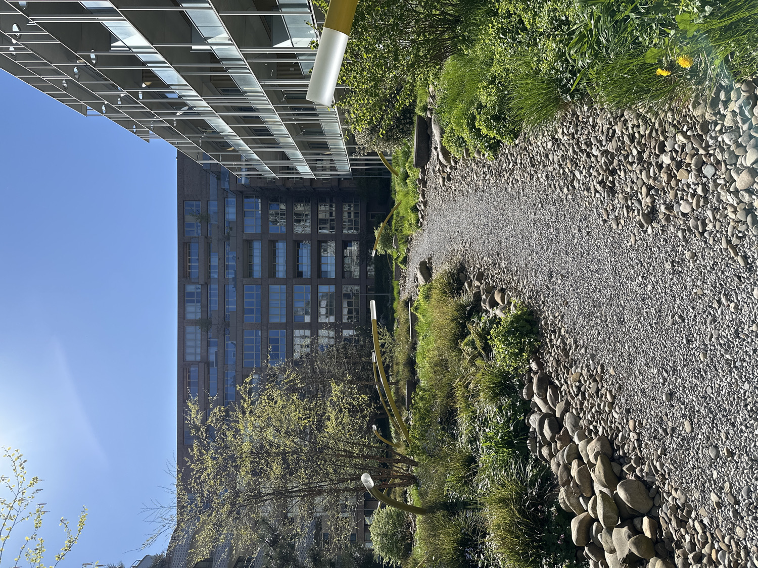 The image presents an urban green space characterized by a blend of modern architecture and natural landscaping under a clear sky. On the left side, a tall, contemporary building with a highly reflective glass facade is visible, mirroring the sky and other architectural elements. Behind it, a more traditional brick building with numerous windows extends upwards.
In the foreground and leading towards the right, a winding path of light grey gravel meanders through the scene. This path is neatly bordered by larger, smooth, light-colored pebbles and river stones. The areas flanking the path are filled with lush green grass, various plants, and small trees exhibiting fresh, light green spring foliage. Several distinct yellow, tubular metal structures are integrated within the greenery, possibly acting as decorative elements or light fixtures. A solitary yellow dandelion flower adds a small pop of color within the grass in the upper right portion of the image.
The scene is captured on a bright, sunny day, indicated by the clear blue sky that occupies a significant part of the right frame, and the prominent lens flare from the sun positioned in the lower-left corner. No individuals or visible text are present in the image. The setting suggests a well-maintained public park or courtyard nestled between buildings in an urban environment, specifically in Amsterdam, Netherlands.