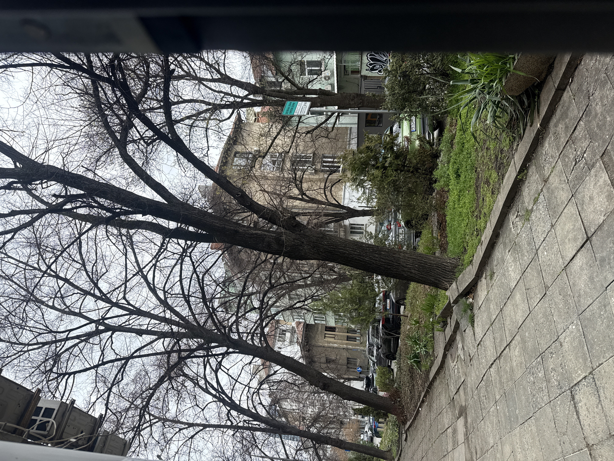 The image depicts an urban scene, likely in Sofia, Bulgaria, as evidenced by the license plates on the parked vehicles and the architectural style of the buildings. The photograph is taken from an elevated position, looking through a window or opening, indicated by the obscured upper edge. Bare trees dominate the foreground, obscuring portions of the background. The street is lined with multi-story buildings of varying architectural styles, some with visible graffiti. A paved sidewalk runs along the right side of the frame, bordered by a narrow strip of greenery with sparse vegetation. Several parked cars are visible along the street. A street sign, partially obscured, is present among the trees and buildings. The sky is overcast, suggesting a cloudy day. No people are visible in the scene.