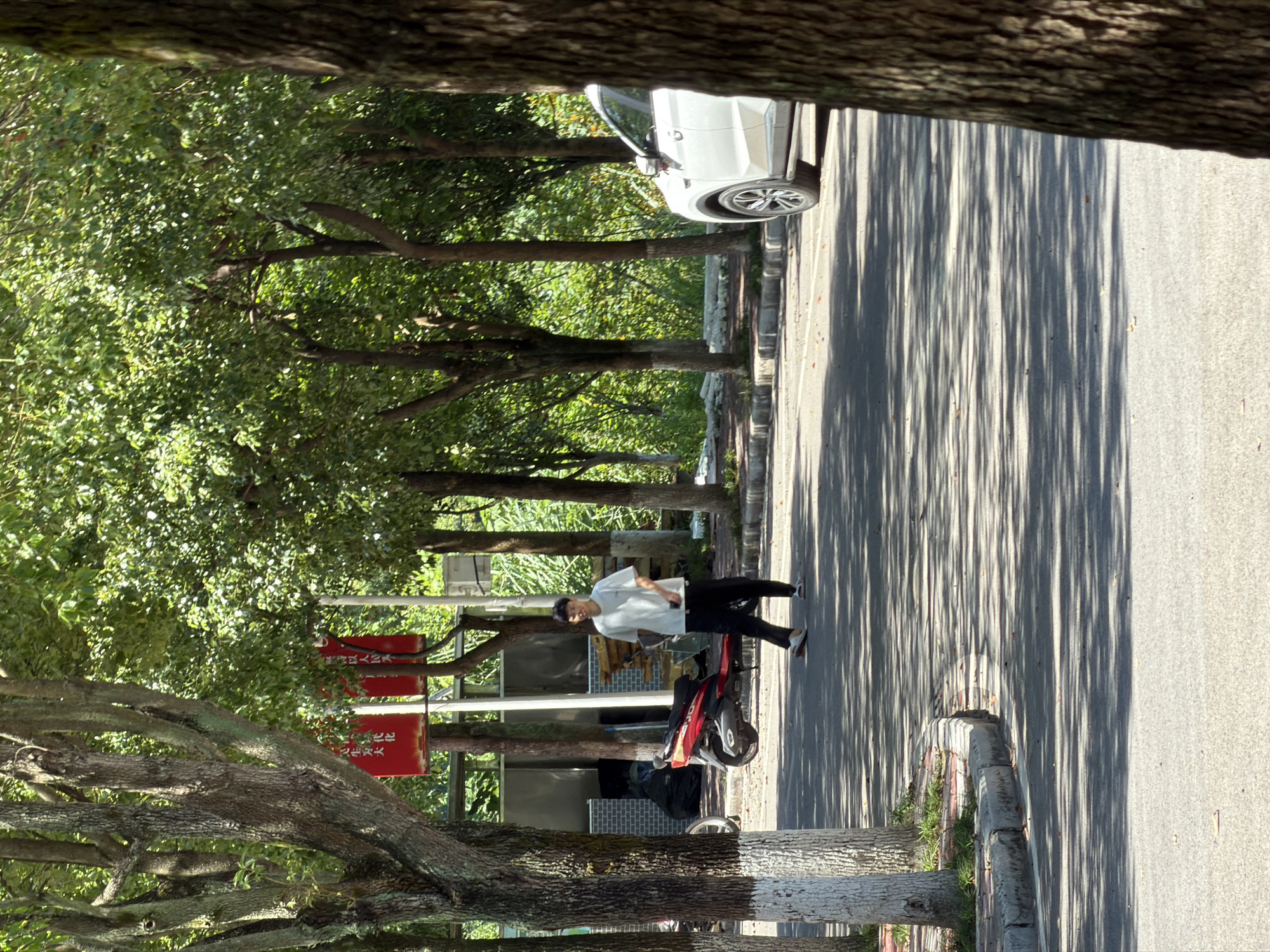 A young East Asian male wearing a white t-shirt and black pants is standing on a paved road lined with trees. He is holding a dark object in his right hand and looking towards the camera. To his left, a red scooter is parked. A white SUV is parked on the right side of the road. The scene appears to be in Jiangjin, China, given the context of the provided location. The road is partially shaded by the trees, casting dappled light and shadows. A building with a brick facade and a large black trash bag is visible behind the parked scooter. Red signs with Chinese characters are hanging from poles in the background.