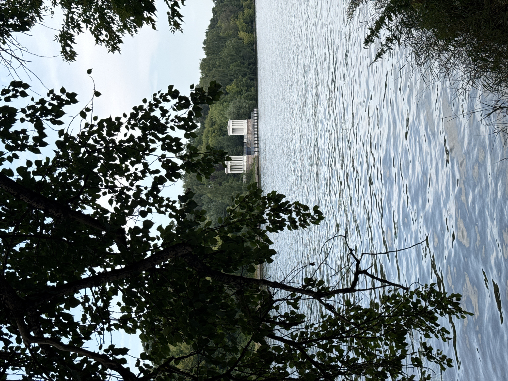 This is a photograph of the water intake tower and dam located on the Khimki Reservoir in Khimki, Russia. In the foreground, branches with dark green leaves obscure the view of the reservoir. The reservoir's surface is rippled, reflecting the overcast sky and surrounding greenery. In the middle ground, the white concrete water intake tower with its distinct classical columns stands on a stone embankment. Behind the tower, a dense line of green trees forms the far bank of the reservoir. The overall atmosphere is serene and natural, with the man-made structure subtly integrated into the landscape.