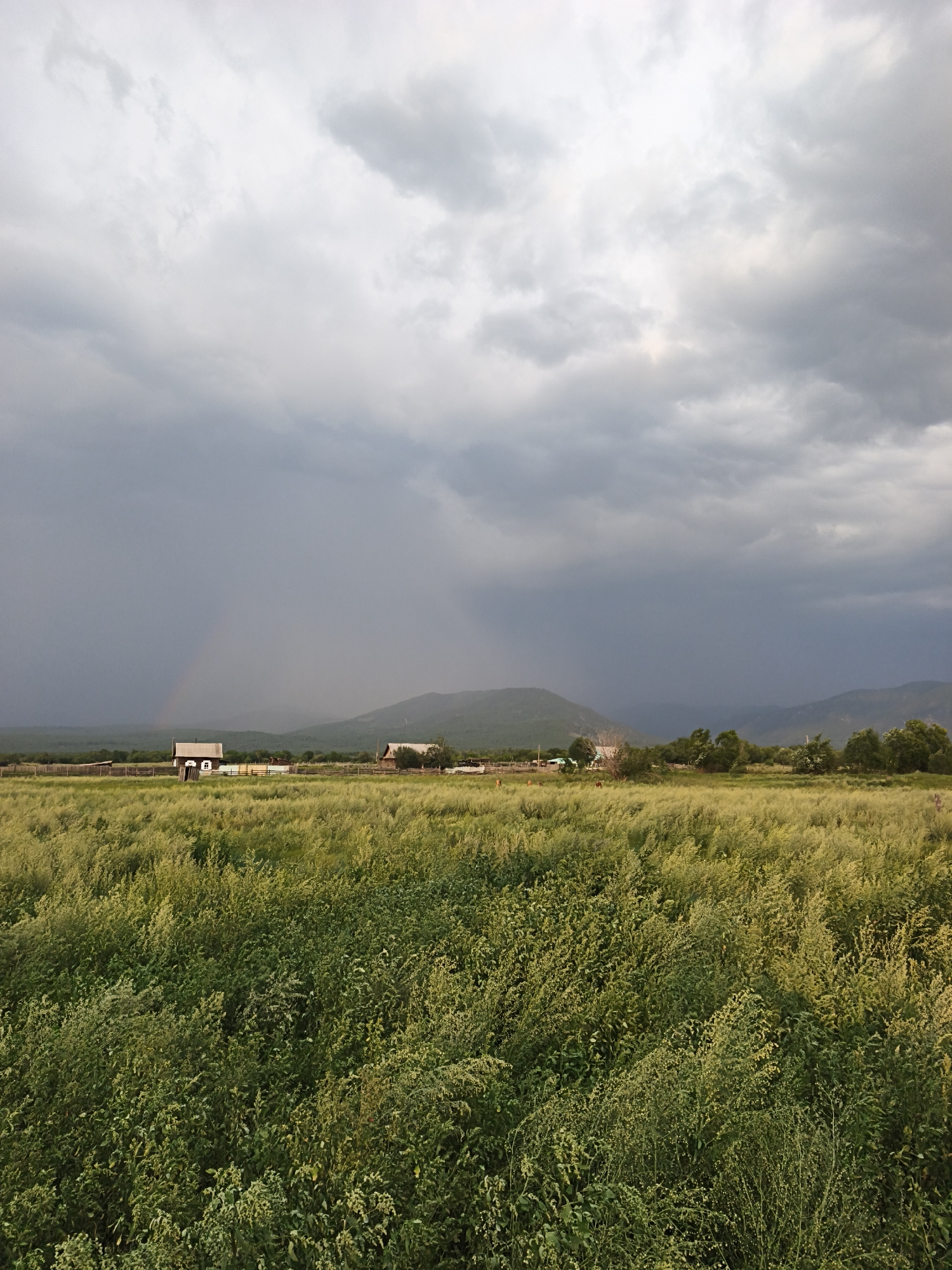 This is a vertical, eye-level, medium shot of a rural landscape in Argada, Russia. In the foreground is a field of tall green grass and foliage. Behind the field, a range of low, hazy mountains stretches across the horizon, partially obscured by a dark, stormy sky filled with heavy clouds. A faint rainbow is visible in the distance, arching over the landscape. Two simple wooden houses with white trim are situated in the middle ground, one with a fenced yard. The overall scene evokes a sense of dramatic weather and natural beauty.