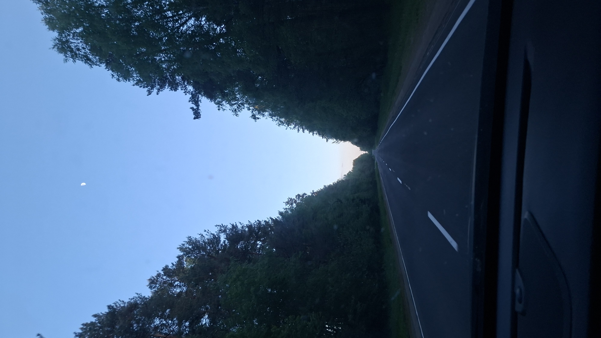The image shows a road in a rural setting, likely within or near Сваткаўскі сельскі Савет, Belarus. The road is asphalt, with white lane markings. It is bordered by dense trees on both sides, creating a tunnel-like effect. The sky is light blue with a crescent moon visible. The photograph appears to have been taken from inside a vehicle.