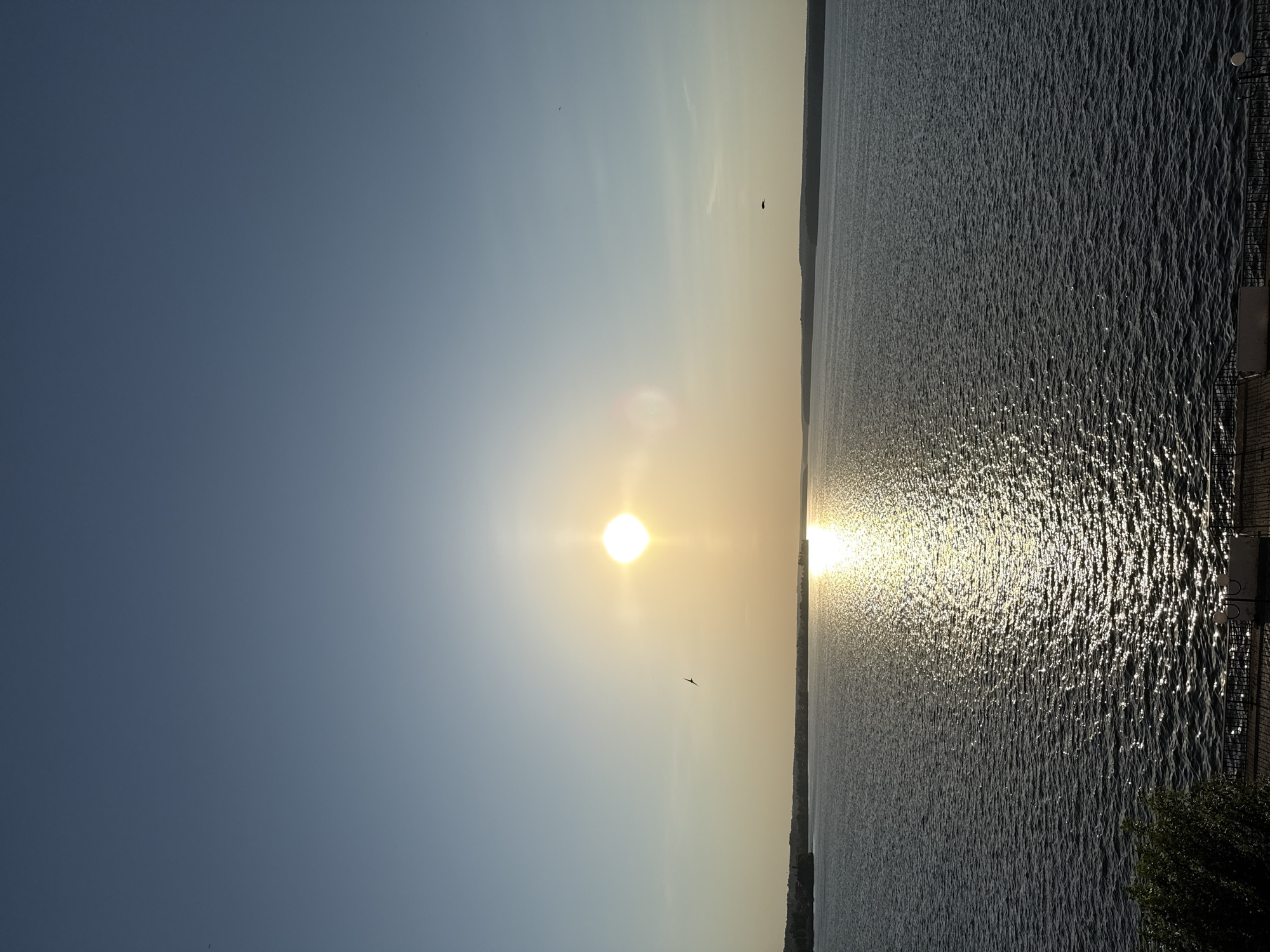 The image shows a body of water, likely a lake or wide river, under a bright sun. The water surface is highly reflective, creating a shimmering effect from the sunlight. The sky is clear, transitioning from a darker blue on the left to a lighter yellow-orange near the horizon where the sun is positioned. The sun appears as a brilliant, round orb.
Two birds are visible as dark silhouettes in the sky. A thin strip of land is seen in the distance along the water's edge on the right side of the image. In the bottom right corner, there's a hint of vegetation, possibly trees or bushes. There is also a structure that is likely a railing or a pier along the shoreline.
Given the prompt constraints, without more information, it's difficult to definitively confirm the exact location in Votkinsk, Russia. However, Votkinsk is known to be located near the Votkinsk Reservoir, which is a large body of water. The image could possibly be taken from a point along the reservoir.