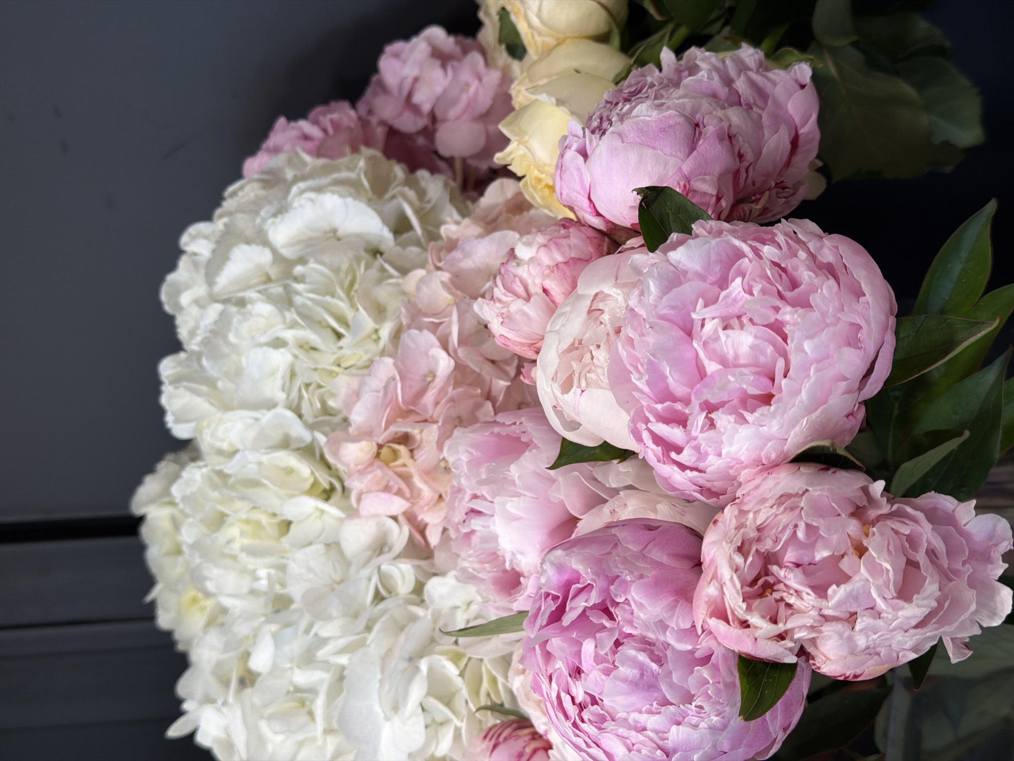 This media file is a close-up, eye-level, indoor shot of a lush bouquet of flowers. The primary subjects are white hydrangeas and pink peonies, with a few pale yellow roses interspersed. The hydrangeas are clustered on the left side of the frame, appearing full and voluminous with many small, delicate florets. The peonies, on the right, are larger and more open, showcasing their ruffled petals in varying shades of pink, from soft blush to a deeper fuchsia. The yellow roses are nestled amongst the other blooms, adding a touch of warmth. The background is a dark, neutral color, possibly a dark gray wall or draped fabric, which makes the vibrant colors of the flowers pop. The lighting appears soft and diffused, suggesting an indoor setting, perhaps a studio or a well-lit room. There is no visible text. The overall mood conveyed is one of natural beauty, abundance, and delicate elegance. The arrangement suggests a decorative purpose, likely a centerpiece or a gift.