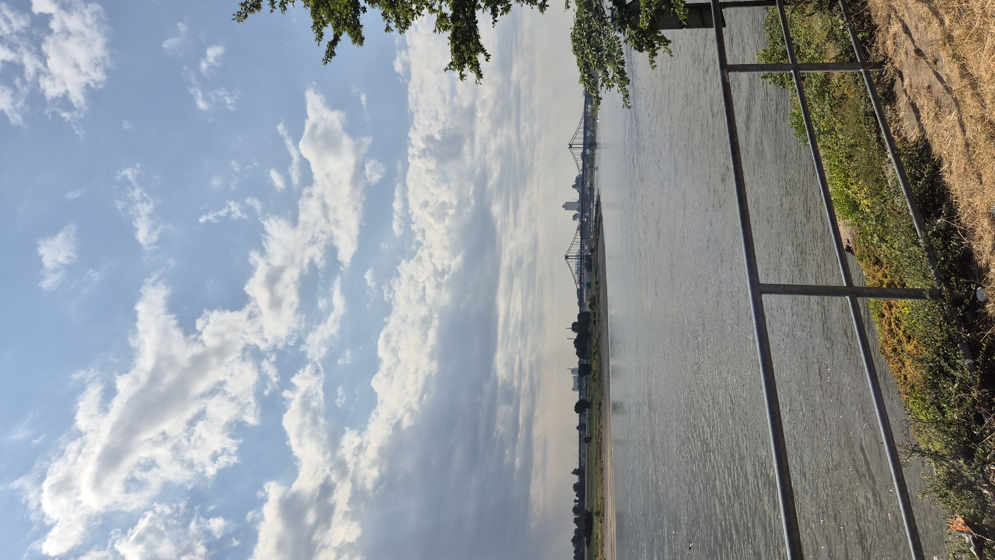 The image depicts a wide river flowing under a partly cloudy sky. In the distance, a city skyline is visible, dominated by a large bridge with multiple arches spanning the river. The riverbank in the foreground is lined with a metal railing and dry grass, with some greenery and bushes growing on the slope leading down to the water. A mature tree branches into the upper right corner of the frame. This scene is likely located near Krefeld, Germany, possibly along the Rhine River, which flows through or near the city and features prominent bridges. There are no people or animals visible in the image.