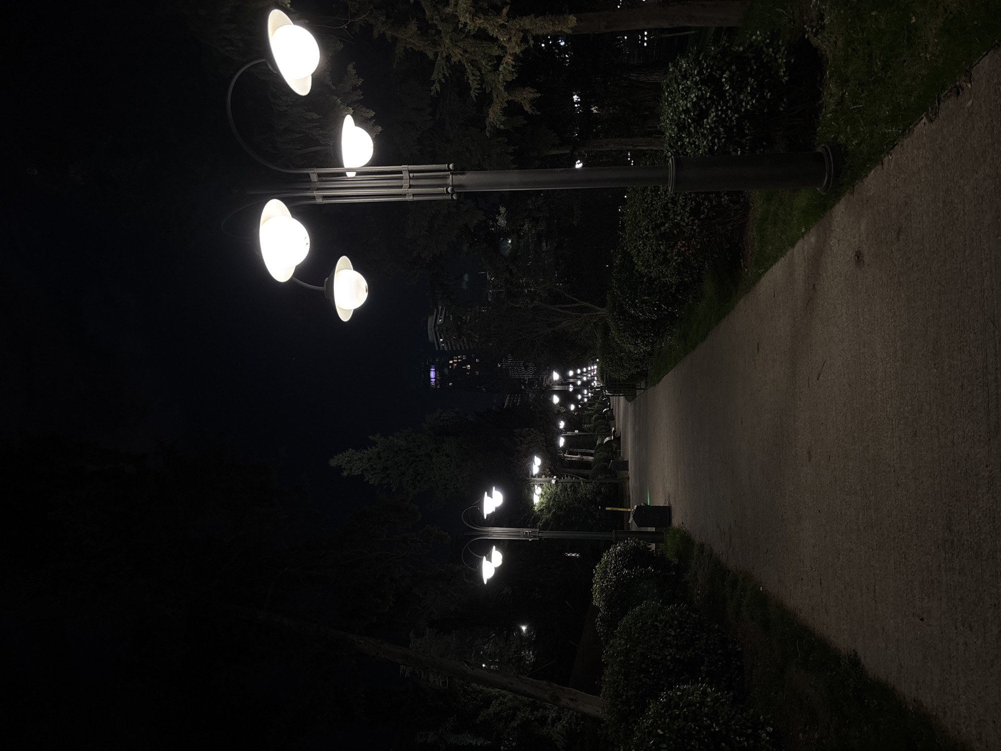 The image shows a long, paved pathway lined with ornate lampposts in a park at night. The lampposts have multiple globe-shaped lights. The pathway stretches into the distance, illuminated by the lights. Bushes and trees border the path on both sides. In the background, some buildings are visible. This is likely a park in Tbilisi, Georgia, given the style of street lights and the architecture of the visible buildings. There are no visible people or animals. The environment is dark, with light emanating only from the lampposts.