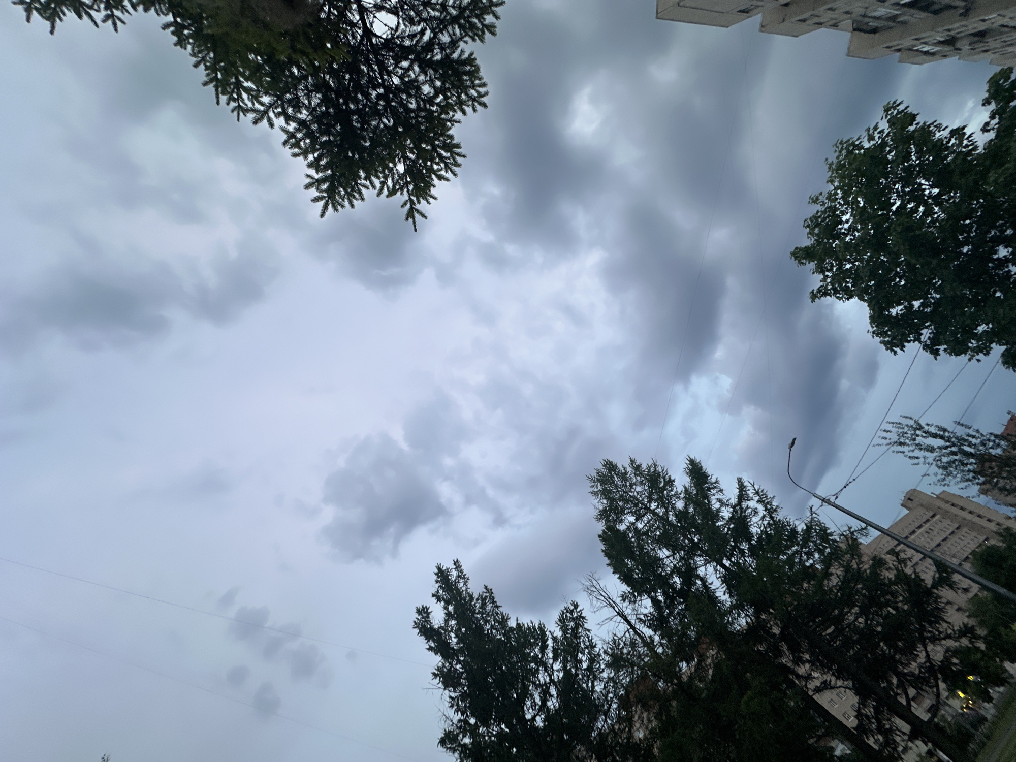 The image displays an upward-angled view of a heavily overcast sky in the city of Unknown, Unknown, characterized by dense, grey stratocumulus clouds indicating dim, diffuse daylight. Dark green conifer branches are visible in the upper right quadrant. Along the left side, the crowns of multiple large, dark trees, including both conifers and deciduous types, frame the sky, partially obscuring a light-colored, multi-story building with numerous windows. In the lower center, a street light pole with a visible lamp extends upwards. Utility wires are distinctly visible traversing the upper left and central portions of the sky. A portion of another multi-story building with angular architecture and a light facade is present in the lower right, partially framed by a dark green deciduous tree. A narrow strip of dark ground is discernible at the bottom left edge. No individuals or discernible actions are depicted.