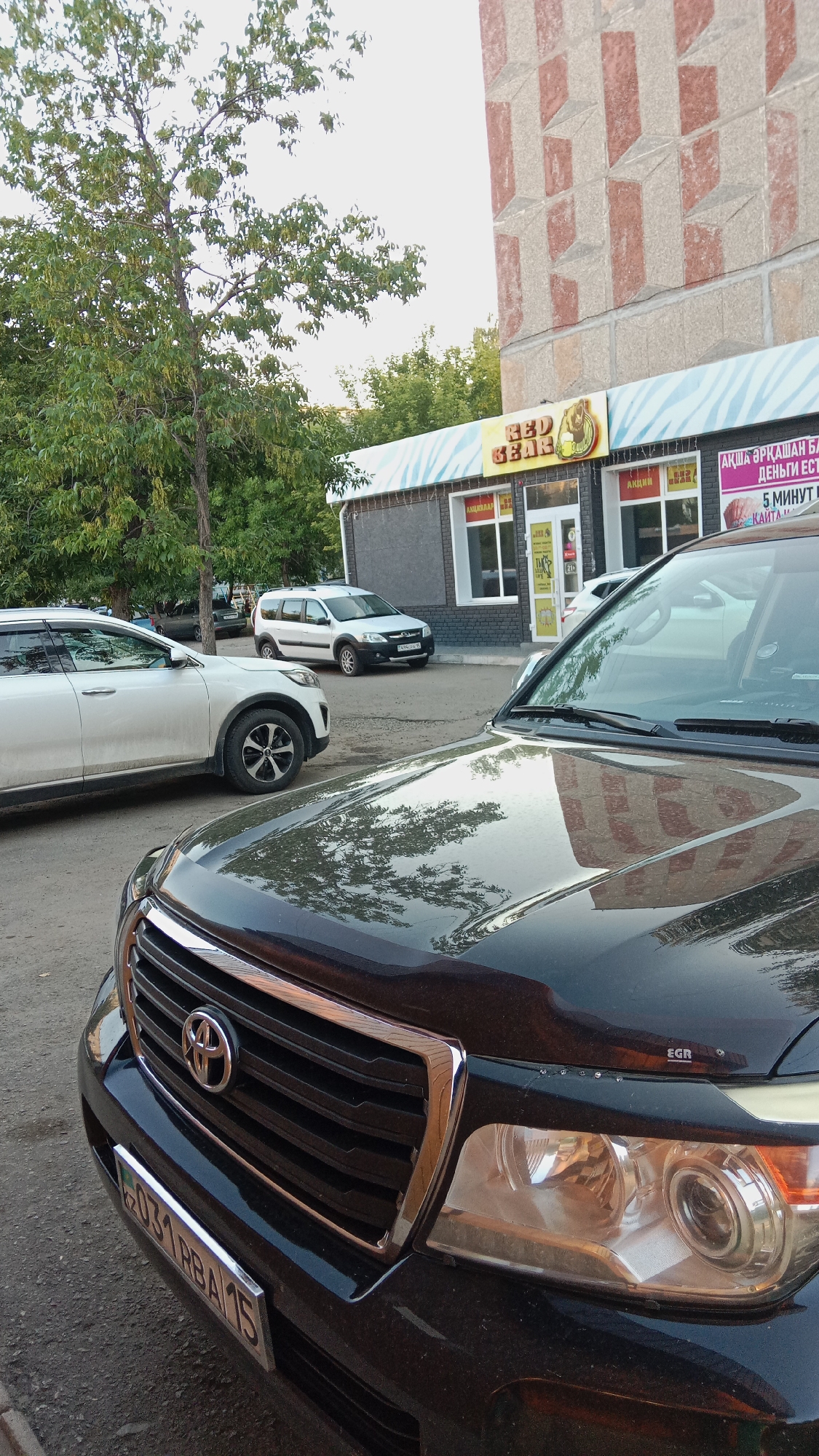 In Petropavl, Kazakhstan, a street scene unfolds with several vehicles parked on a paved surface adjacent to a building. In the foreground, a black Toyota Land Cruiser is prominently displayed, its chrome grille and headlights reflecting the surrounding environment. To its left, a white SUV, possibly a Kia Sorento, is parked. Further back, a white Lada Largus is visible. The building behind the vehicles features a facade with brickwork and a storefront with signage. One sign displays the text "RED BEAR" with an image of a bear, and another sign advertises "AKTSII" which translates to "Sale" or "Promotion." The sky is overcast, and trees with green foliage are present on the left side of the image. The overall impression is that of a typical urban setting in Kazakhstan.