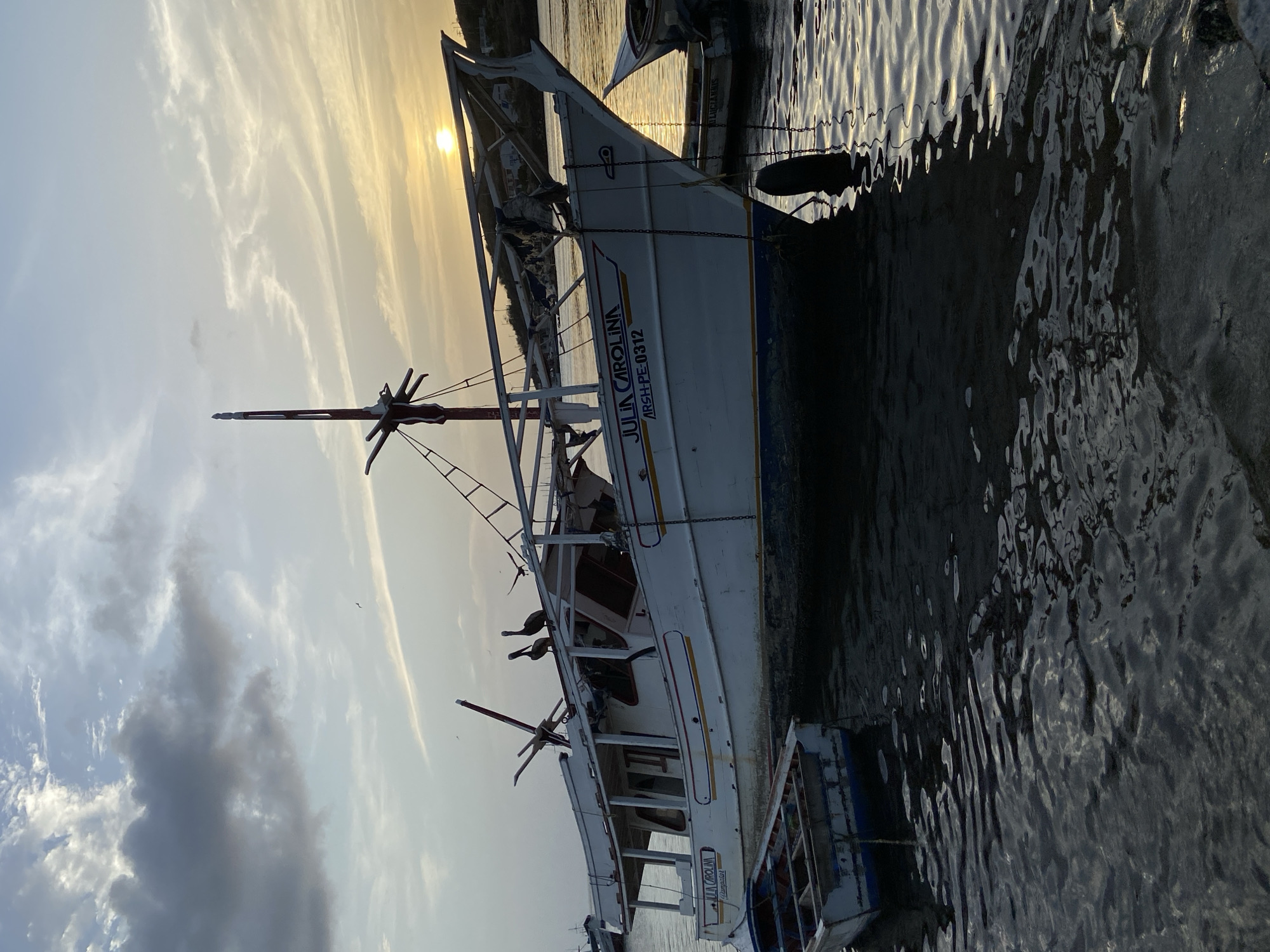 A white fishing boat named "JULIA CAROLINA" is anchored in the bay of Juan Griego, Venezuela, during sunset. The boat is partially submerged, with water lapping against its hull. Two pelicans are perched on the boat's deck, and several other birds are flying overhead. The sun is setting in the background, casting a warm glow over the scene. The water is calm, with ripples reflecting the sky and the boat. The boat appears weathered and in disrepair. A smaller dinghy is tied to the larger boat. The overall impression is one of peace and tranquility, despite the boat's condition.