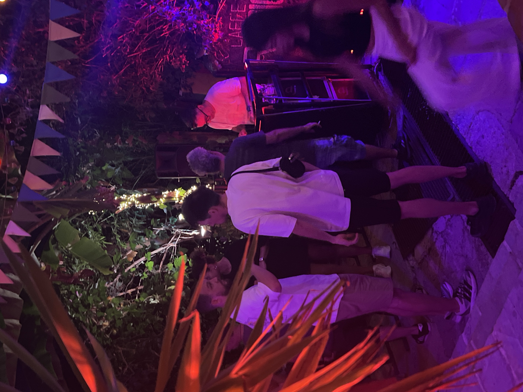 The image depicts an outdoor gathering at night, illuminated by red and purple lights. In the foreground, to the left, large, red-tinged palm fronds obscure the view. Several individuals are visible, some of whom appear to be interacting with each other. On the right side of the frame, a DJ is seen operating equipment, with speakers and lighting rigs present. A woman in a white outfit is captured in motion, suggesting dancing. The background reveals lush vegetation and string lights, contributing to a festive atmosphere. A sign reading "LA FÉÉ" is partially visible on a structure. The setting suggests a bar, club, or outdoor event space. The presence of palm fronds and the overall ambiance are consistent with a coastal or Mediterranean location. Specifically, this scene is captured at the "La Féé" club located in Herceg Novi, Montenegro, a popular spot for nightlife.