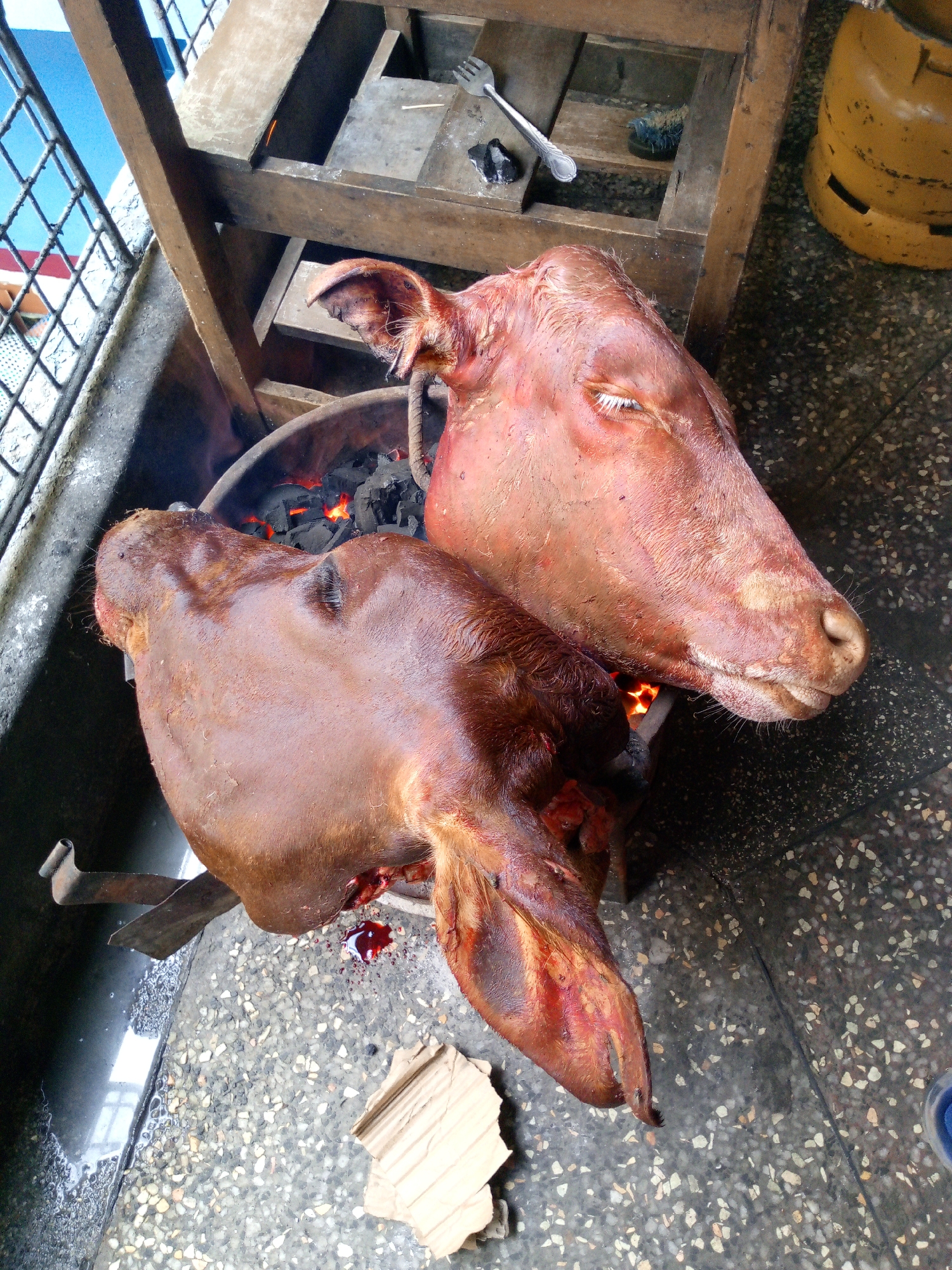 The photograph depicts two decapitated cow heads being roasted over a charcoal grill on a speckled tile floor. The head closer to the viewer has dark brown fur and a severed neck, with some blood visible. The other head is lighter in color, with its eye closed. A metal skewer is visible near the darker head. The grill is placed near a barred window and a wooden table with a fork resting on top. A yellow gas canister is in the background. The scene is located in Nairobi, Kenya.