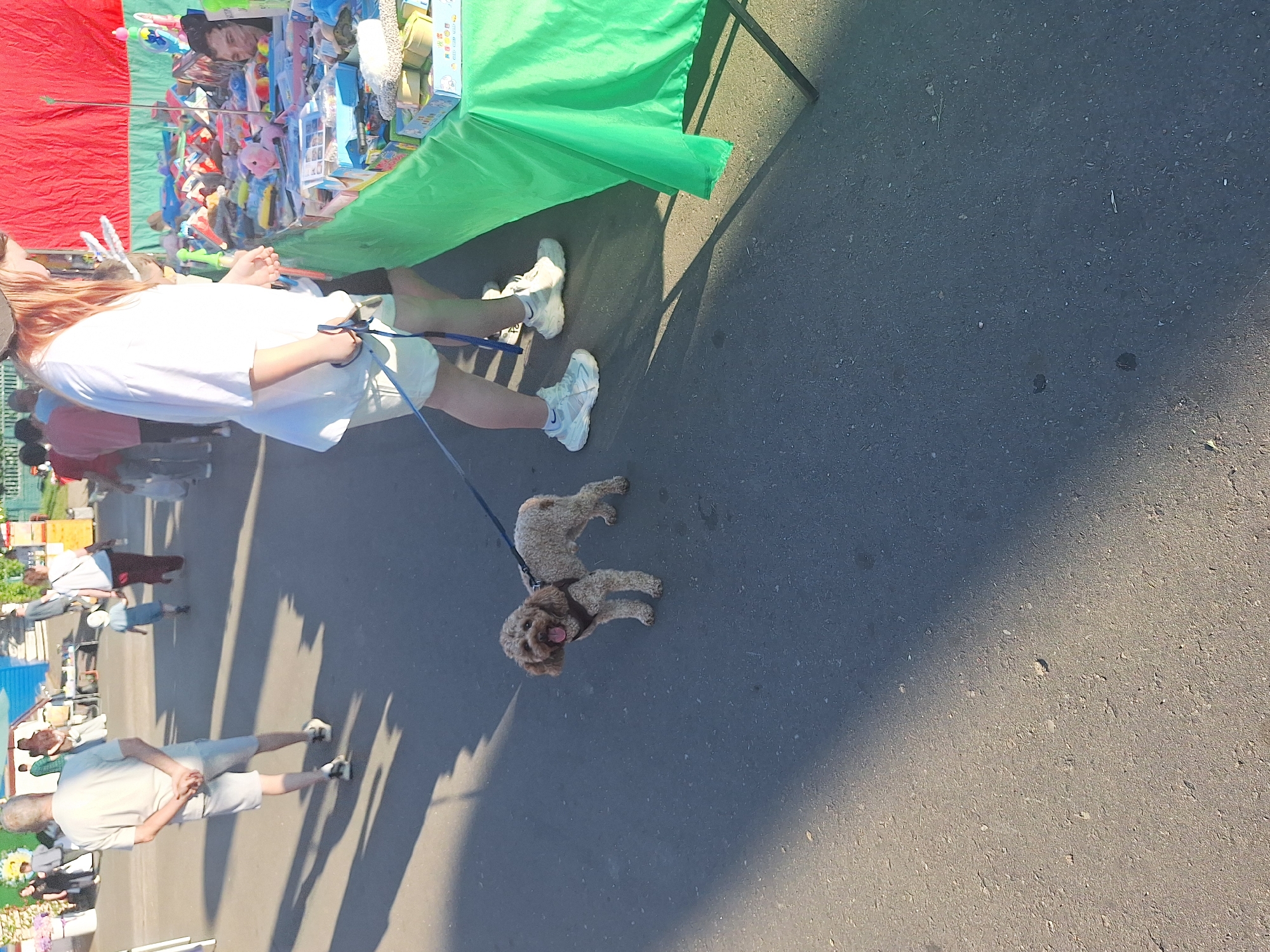 A medium-shot, eye-level, outdoor, full-color, slightly overexposed photograph captures a daytime scene at a market or fair, likely in or near Цімкавіцкі сельскі Савет, Belarus. In the foreground, a light brown, poodle-like dog with a dark harness stands on a black asphalt surface, panting with its tongue out, attached to a blue leash held by an unseen person. The dog is positioned to the left of center. To the right and slightly behind the dog, the legs of a person wearing white shorts and white sneakers are visible, holding the leash. The person is standing near a table draped with a bright green cloth, which displays various toys and trinkets. The table is positioned at an angle, extending from the right edge of the frame towards the center. In the middle ground, behind the dog and to the left, a man with gray hair wearing a light t-shirt and light shorts walks away from the camera, his hands clasped behind his back. His shadow stretches across the asphalt. Further in the background, other people are present, some walking and others standing near stalls or structures, suggesting a public gathering. The environment appears to be an open area with some shade cast by the sun, and hints of structures or tents associated with a market.