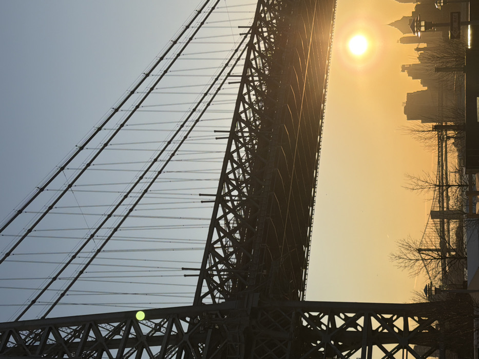 An outdoor vertical photograph captures a sunrise or sunset view from Brooklyn, New York, United States of America, looking towards Manhattan. The upper two-thirds of the frame are dominated by the silhouette of the Manhattan Bridge's steel truss structure, main cables, and numerous vertical suspender cables. A circular, greenish-yellow light artifact is present on the left structural support of the bridge. The sky transitions from a light blue at the top to a vibrant orange and yellow hue at the horizon. In the lower right quadrant, a bright, circular, yellow-orange sun is partially obscured by the silhouetted skyline of Manhattan, which includes various buildings of different heights. The lower third of the image features several bare deciduous trees, two dark streetlights with spherical tops, and indistinct dark ground elements. A faint "ONE WAY" sign is visible near the rightmost streetlight. In the distant left-midground, a portion of the Williamsburg Bridge is also visible in silhouette. No people are present.