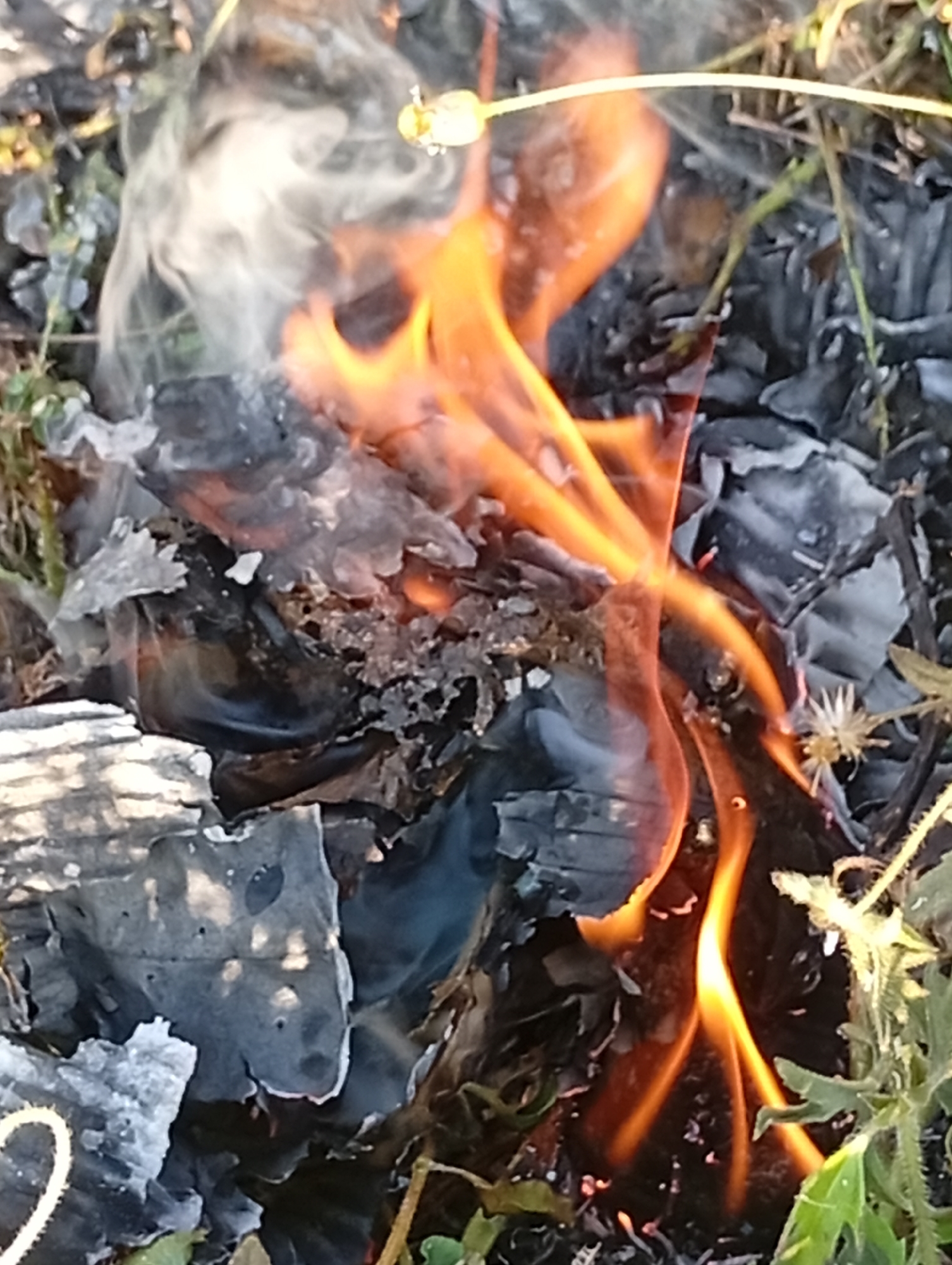 The image depicts a close-up view of burning debris. Flames of orange and yellow lick through dark, charred materials that appear to be paper or plant matter. Wisps of white smoke rise from the combustion. Surrounding the burning material is dry, greyish-brown ground cover, interspersed with sparse green vegetation and dry twigs. The scene is outdoors, with natural light illuminating the fire and smoke. There are no visible people or distinct structures. The overall impression is one of an uncontrolled burn in an outdoor environment, possibly in a natural or semi-natural setting within Adankolo, Nigeria, where such uncontrolled fires can occur due to dry conditions and the burning of refuse.