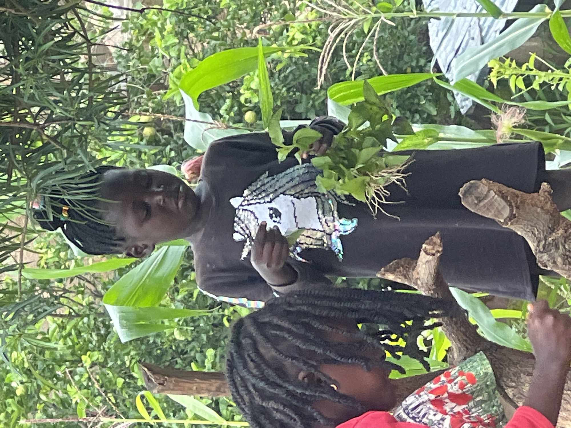 The image shows two young girls in a garden setting, possibly in Jos, Nigeria. The girl in the foreground, on the left, has dark, braided hair and is wearing a red top with a floral pattern. She is looking down, engaged with something unseen. The second girl, slightly behind and to the right, is wearing a black long-sleeved shirt with a sequined unicorn design. She is holding a bunch of leafy green plants with exposed roots in her hands and appears to be examining them. The environment is lush and green, with tall plants, possibly corn stalks, visible. The background consists of dense foliage. The lighting suggests it is daytime, with diffused light indicating an overcast sky or shade.