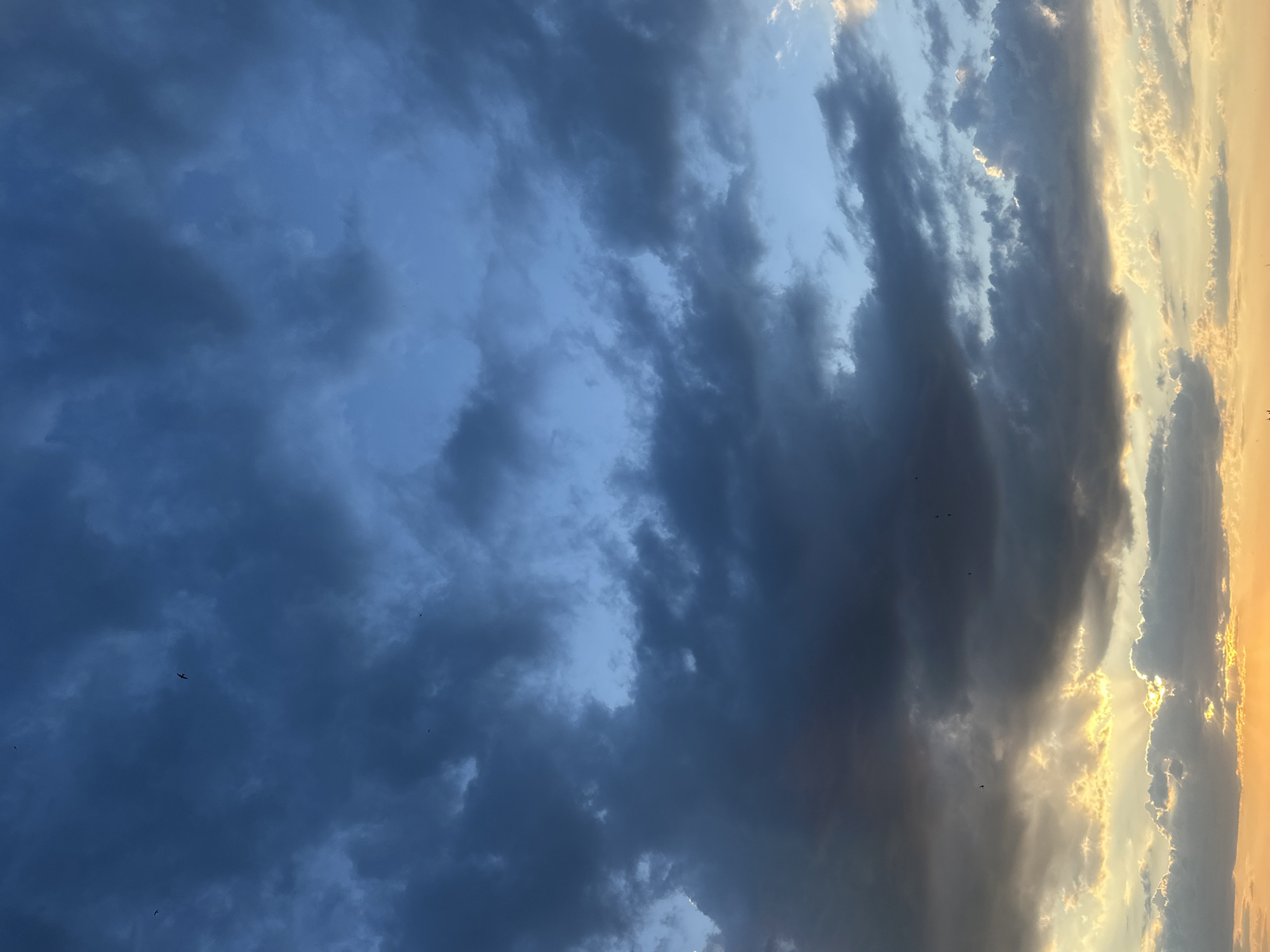 An aerial vertical shot captures a dramatic sky at sunset with a mix of dark storm clouds and illuminated portions. The top of the frame is dominated by deep blue and gray storm clouds, with a few small, dark birds visible against the dark sky. Towards the bottom, the clouds become lighter, transitioning to shades of yellow and orange as the sun's rays break through, creating a crepuscular effect. The sunlight illuminates the undersides of some clouds with a golden hue. The scene appears to be an expansive sky without any discernible cityscape or landscape features visible within the frame.