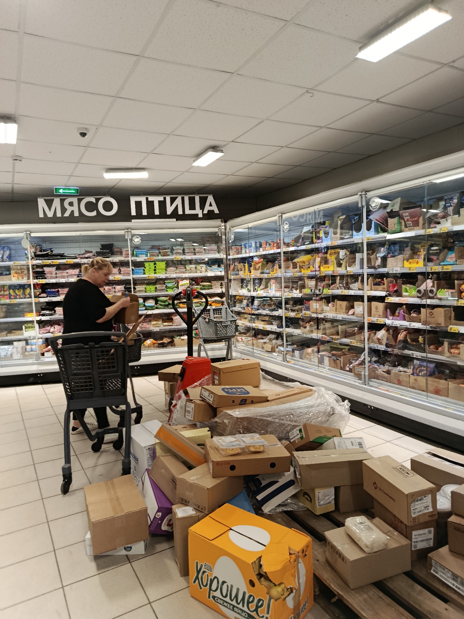 The image depicts the interior of a grocery store, specifically a refrigerated section dedicated to meat and poultry, as indicated by the Cyrillic signage "МЯСО ПТИЦА" (Meat Poultry). A woman wearing a black shirt is standing near a shopping cart, holding a cardboard box and appearing to interact with its contents. In the foreground and to the right, numerous cardboard boxes are stacked on the floor and on a pallet, suggesting a recent delivery or stocking operation. Some boxes are open, revealing packaging materials and what appear to be food items. The environment is brightly lit with fluorescent ceiling lights and features rows of glass-fronted refrigerators stocked with products. A green directional arrow sign is visible on the ceiling. The floor is tiled in a grid pattern. The overall scene suggests a commercial setting where goods are being organized and displayed for sale. The provided location of Верея, Russia, anchors this scene within a specific geographical context.