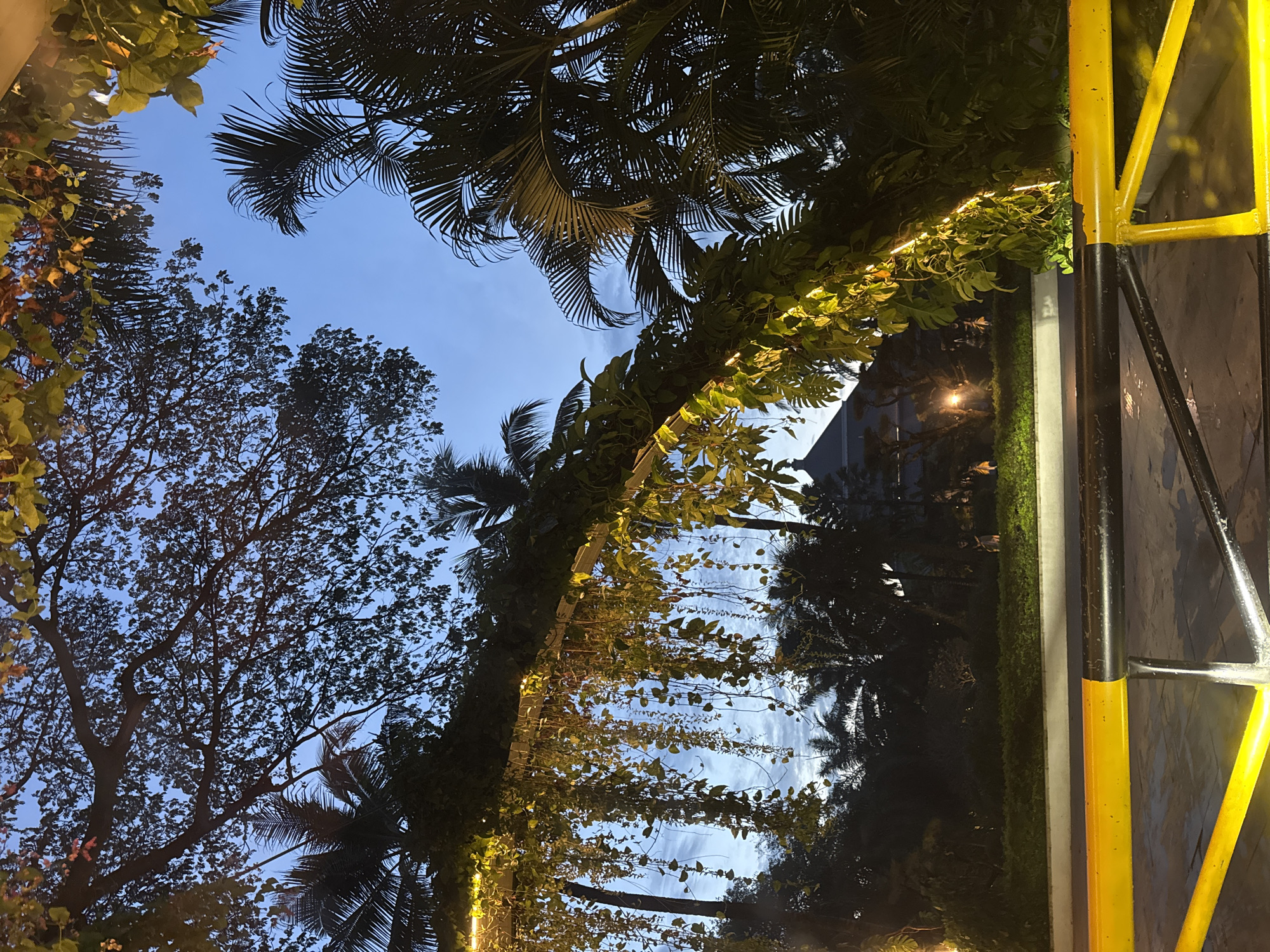 The image, taken in Kuta Selatan, Indonesia, captures an outdoor scene at what appears to be late afternoon or early evening twilight. The sky, visible through a canopy of trees, is a clear, light blue.
The primary subjects are diverse types of trees and foliage. Tall, silhouetted broadleaf trees are prominent on the left, their intricate branches outlined against the sky. Various palm trees with their distinctive fronds are also scattered throughout the frame, some closer and others in the background, adding to the tropical ambiance.
A prominent feature is a decorative archway or trellis covered densely with green vines and foliage. This archway is illuminated by warm-toned string lights, which are clearly visible and provide a soft glow to the leaves. The arch creates a pathway or entrance, guiding the eye towards a distant, softly lit area.
On the far right, a yellow and black barrier or structure is visible, suggesting a pathway, parking area, or architectural element. In the background, hints of other structures or buildings can be seen, partially obscured by greenery, with a faint light emanating from one area.
The overall scene conveys a serene and inviting atmosphere, characteristic of a well-maintained garden, park, or resort area, with the artificial lighting enhancing the natural beauty of the flora as day transitions to night. No specific activity or event is taking place, and no text is visible.
