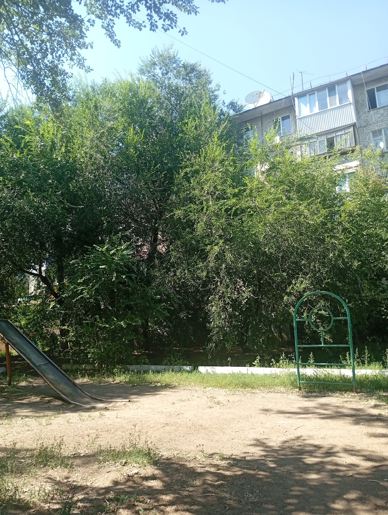 The image depicts an outdoor scene on a sunny day in the city of Oral, Kazakhstan. In the foreground, a sandy playground area is visible, with scattered patches of dry grass and shadows cast by trees. To the left, a worn, metal slide descends from an elevated platform, supported by brown metal poles. To the right, a green metal structure, possibly part of a playground or decorative element, features an arched top and a circular design within. Behind the playground, a dense mass of green trees and foliage occupies the middle ground, obscuring much of the background. Peeking through the trees on the right side of the frame, a multi-story apartment building with a light-colored facade is visible. The building has several windows and balconies. The sky above is clear and blue.