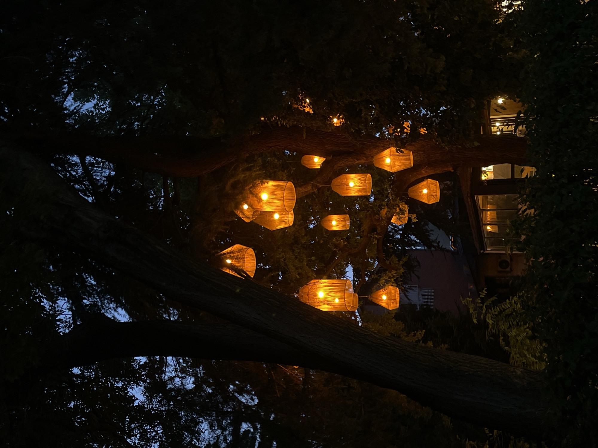 The image shows a cluster of woven lanterns hanging from tree branches at dusk. The lanterns emit a warm, orange glow, illuminating the surrounding dark foliage and tree trunks. Some of the lanterns are cylindrical, while others are more square-shaped. In the background, a building with windows and an air conditioning unit is visible, suggesting an urban or semi-urban setting. The overall atmosphere is tranquil and inviting, evoking a sense of coziness and enchantment. The time of day appears to be twilight, as the sky is a deep blue peeking through the leaves, and artificial lights are on. The setting seems to be an outdoor area, possibly a garden or a courtyard, in Tbilisi, Georgia. No people are visible in the image, and there is no visible text. The focus is on the interplay of light and shadow created by the glowing lanterns amongst the trees.