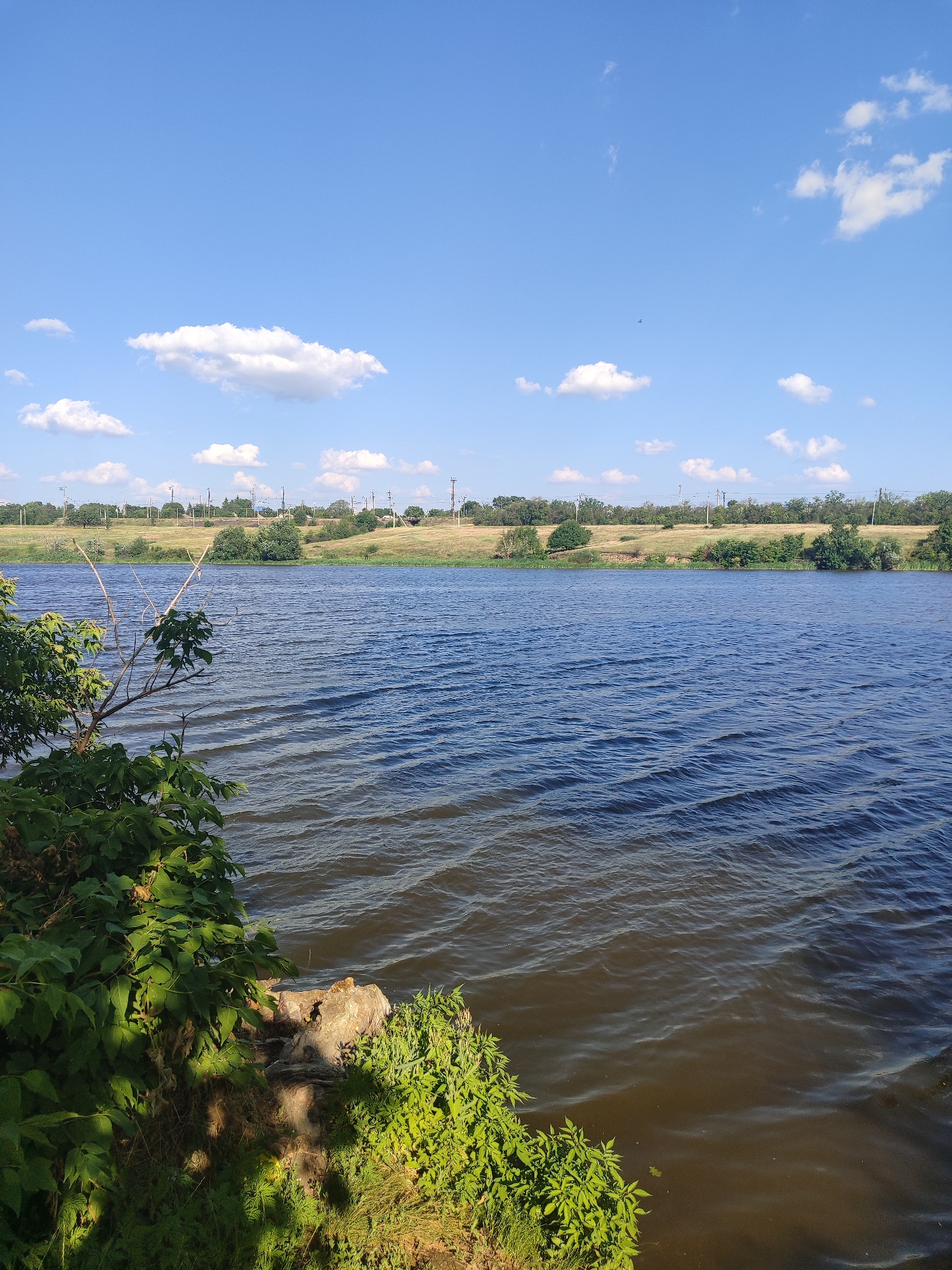 An outdoor, wide shot captures a body of water under a bright blue sky with scattered white clouds. The water's surface is rippled by a gentle breeze. On the left side of the frame, lush green foliage and tree branches partially obscure the view of the water. The opposite bank is lined with trees and vegetation, with a clear sky overhead. In the distance, several power poles dot the landscape. The scene appears to be a natural setting near an urban area.