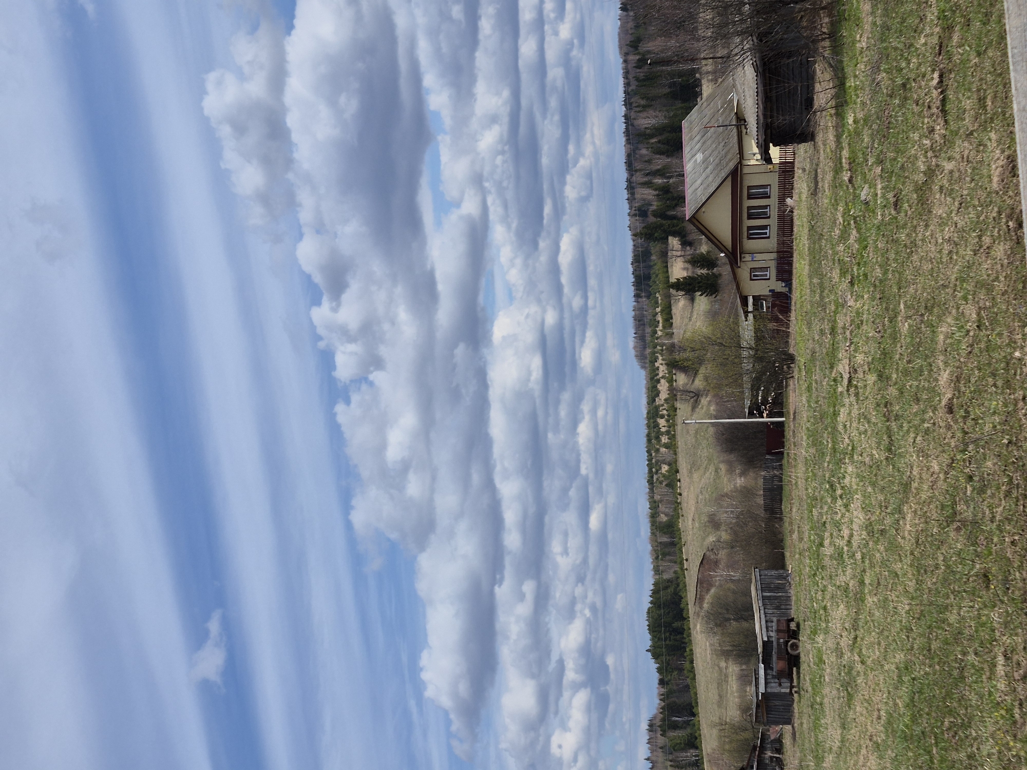 A wide-angle landscape photograph captures a peaceful rural scene in Дойная, Russia, under a striking sky, likely depicting early spring. The upper portion of the image is dominated by a bright blue sky filled with an array of clouds. Distinct long, parallel streaks of white clouds, possibly cirrus, stretch horizontally across the expanse. Below these, a fascinating pattern of denser, fluffier cumulus clouds forms parallel "cloud streets" that also extend horizontally, creating a textured sky.
The lower half of the scene features gently rolling fields covered in dry, brownish-green grass, suggesting the transitional period of early spring. In the mid-ground, a prominent two-story wooden house stands, painted a light yellow or cream with dark-framed windows and a grey roof. A reddish-brown railing is visible along a porch or balcony. To the left of this main house, a smaller, older wooden structure, possibly an outbuilding or shed, is present. Nearby, an old, possibly disused, flatbed truck or trailer with visible wheels is parked on the grass.
In the background, a dense line of evergreen trees forms a dark, solid forest edge, stretching across the horizon. Utility poles with power lines can be seen running parallel to the treeline. The overall impression is one of a quiet, rural setting during daytime, likely late morning or early afternoon, with clear weather and the unique cloud formations being a notable natural feature. There is no discernible human activity or visible text.