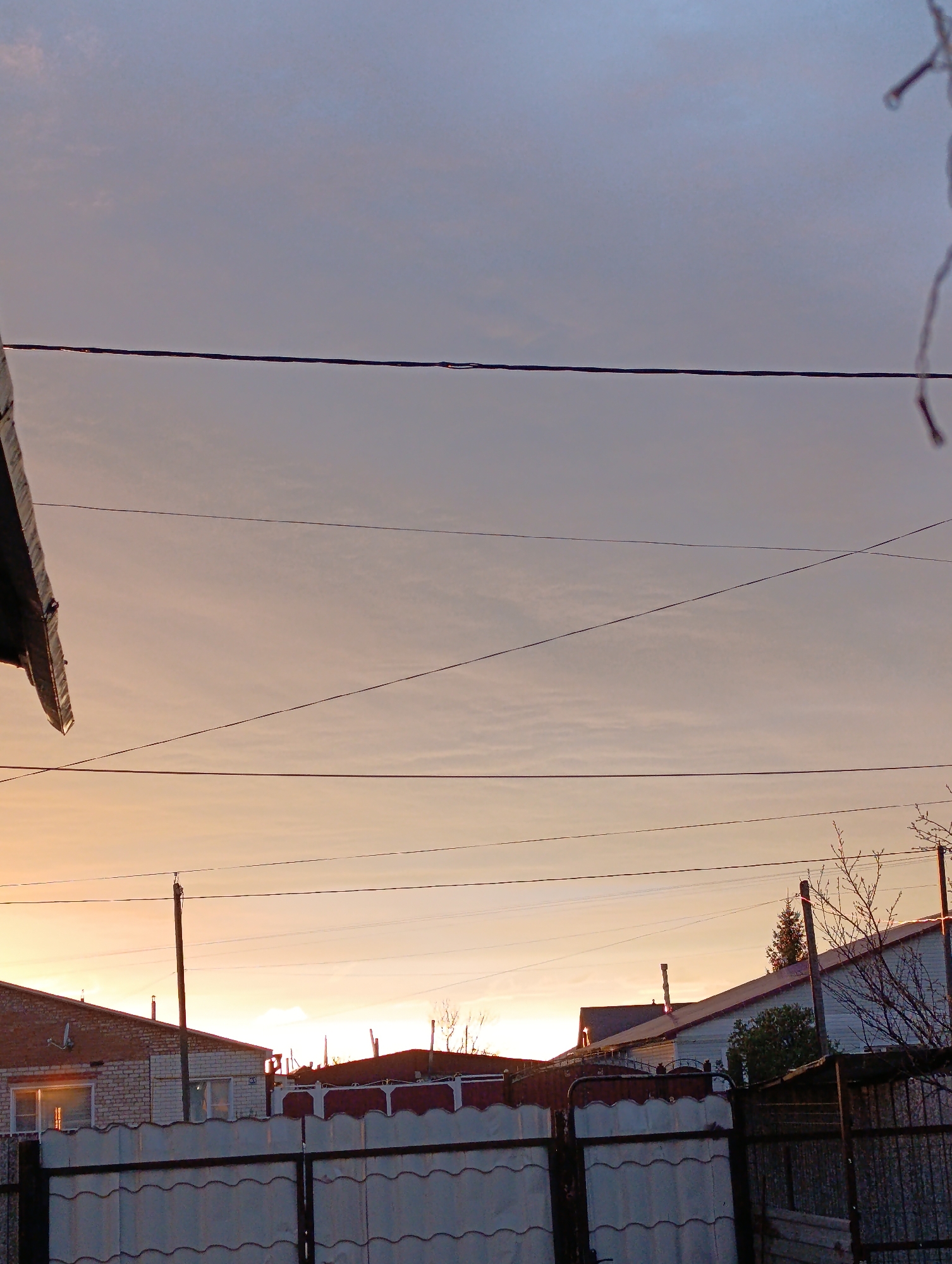 The image depicts a rural or suburban landscape at either sunrise or sunset, creating a serene atmosphere in Новоалександровка, Russia. The sky dominates the upper portion of the frame, showcasing a beautiful gradient from a warm, soft orange-yellow near the horizon to a muted blue-grey higher up. Multiple dark utility wires crisscross the sky, adding lines of division to the pastel hues.
In the foreground, a prominent white metal fence with wavy panels and a gate extends across the bottom of the image. On the far left, a dark roof edge is visible. Above the fence, several buildings are seen, including a brick house on the left with a faint "167" visible as a house number on a white sign. Further to the right, another house with white siding and a dark roof is partially obscured by trees and a utility pole. Bare tree branches, possibly dormant, are silhouetted against the sky on the right side of the frame.
No people are visible, and no specific activities are taking place, lending a quiet and tranquil feel to the scene. The low-angle sunlight casts a soft glow over the landscape, highlighting the textures of the buildings and fences while emphasizing the expansive sky.