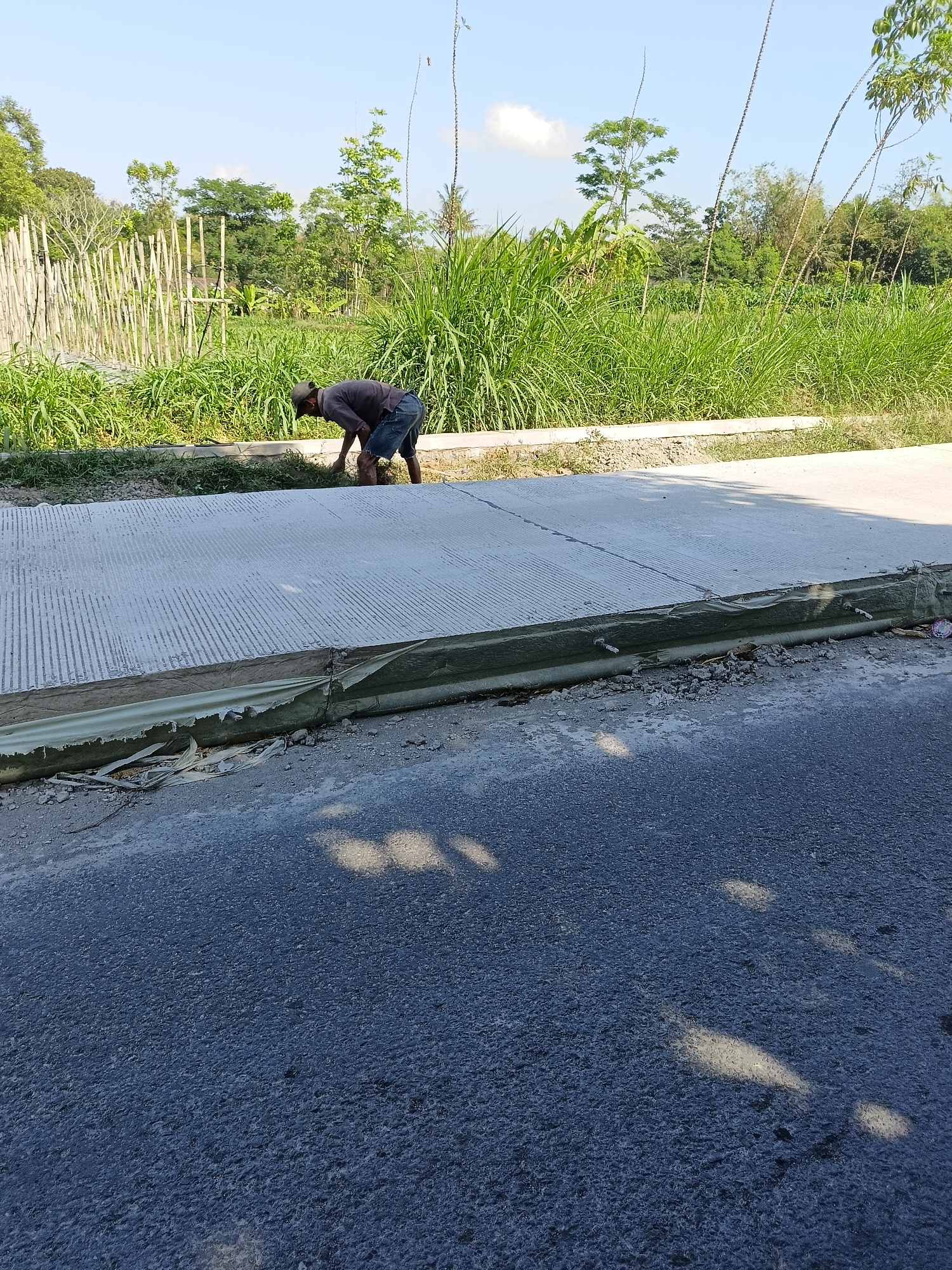 In Sukorini, Indonesia, a man is working on a roadside. He is wearing a dark shirt and denim shorts and a baseball cap. He is bent over, appearing to be clearing grass or debris from the edge of a newly poured concrete surface. The concrete has a textured finish with parallel lines. Adjacent to the concrete is a section of asphalt road. Beyond the construction area, there is a line of tall green grass and various trees under a clear blue sky. A bamboo fence is visible in the background, suggesting a rural or semi-rural setting. The scene appears to be an outdoor construction or road maintenance project.