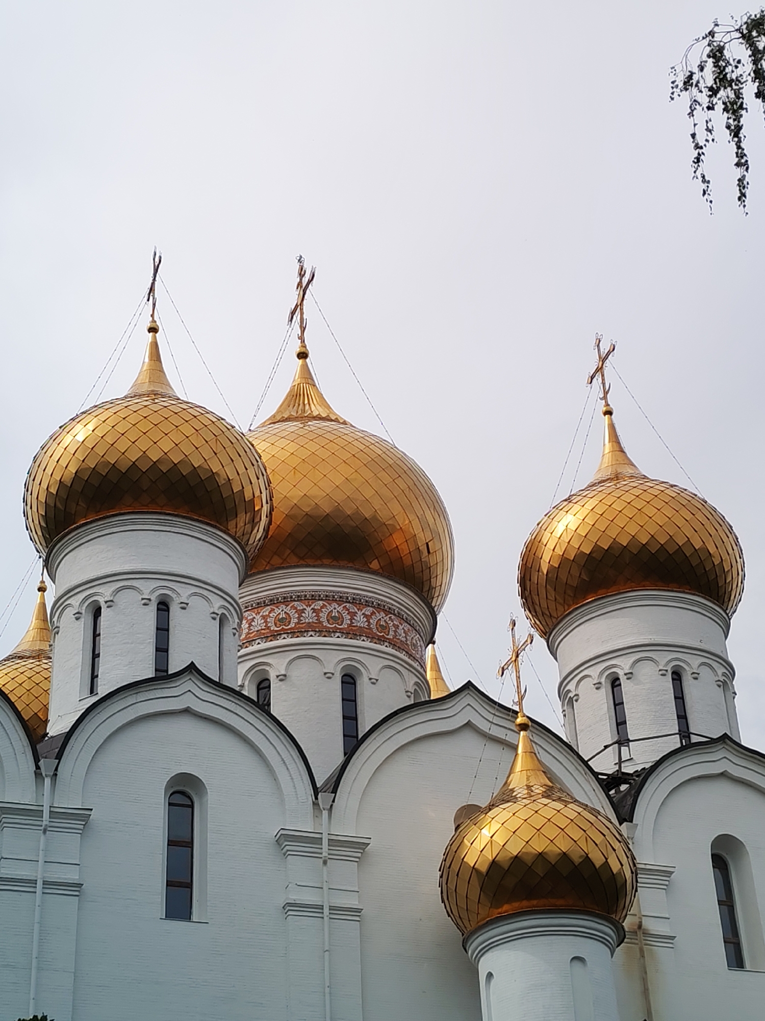 The image shows the golden domes and white walls of a Russian Orthodox church. The domes are onion-shaped and covered in golden tiles, with crosses at their peaks. The church walls are white and decorated with architectural details. The sky is overcast. In the upper right corner of the image, a tree branch with green leaves hangs into the frame. The church is likely located in Rusanovo, Russia, given the context provided. There are no people or animals visible in the image.