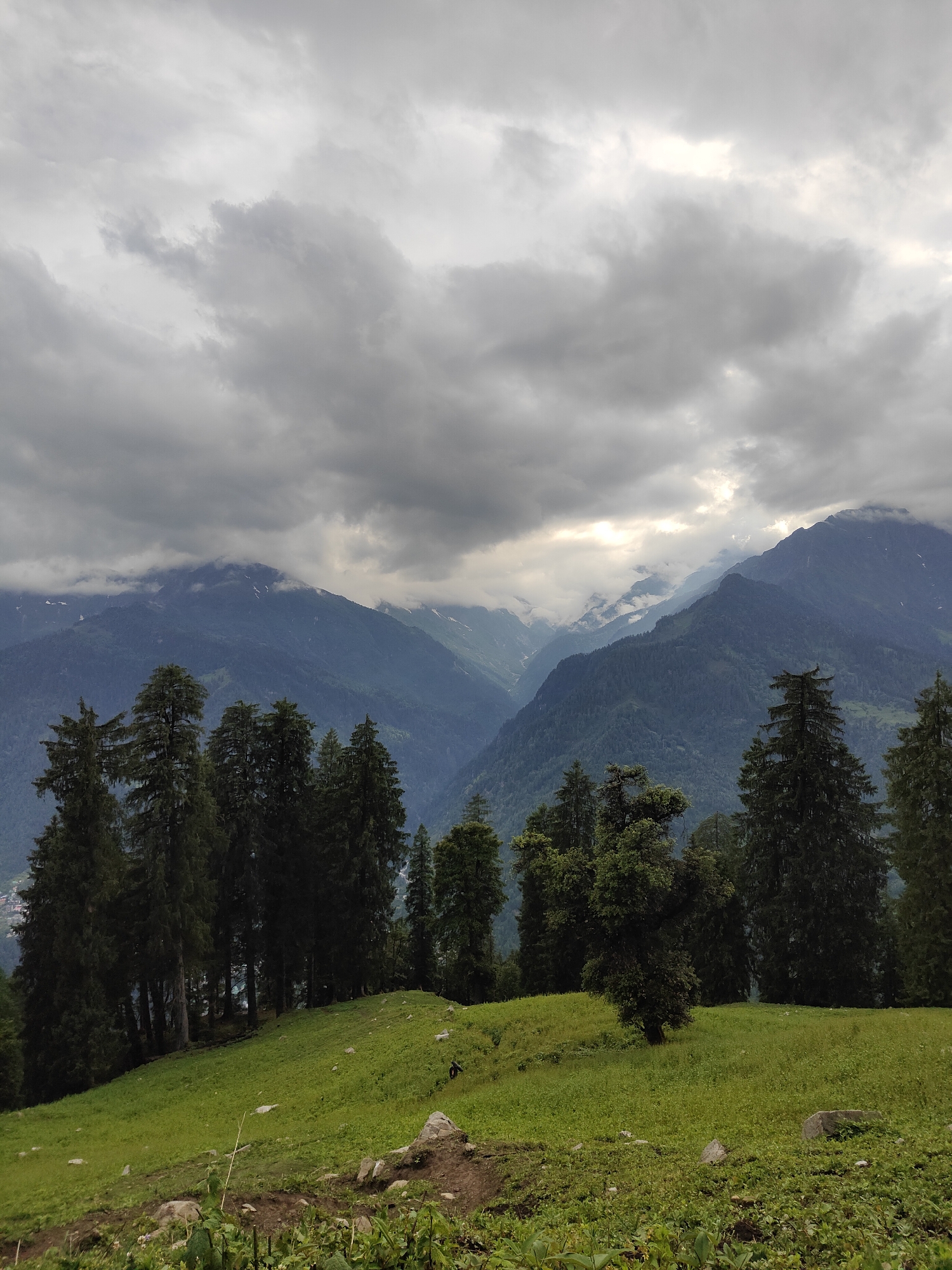 The image depicts a panoramic view of a lush green hillside in Vashisht, India, under a dramatic, cloudy sky. In the foreground, a grassy slope is dotted with scattered rocks. A line of tall, dark green coniferous trees runs horizontally across the midground, framing a view of majestic, mist-shrouded mountains in the background. The mountains exhibit layered shades of blue and green, with some peaks showing hints of snow. The sky is filled with heavy, gray clouds, with a few patches of lighter sky suggesting a break in the weather. A single, small dark figure, possibly a person or an animal, is visible on the green slope in the midground. The overall impression is one of natural grandeur and a slightly overcast, serene atmosphere.