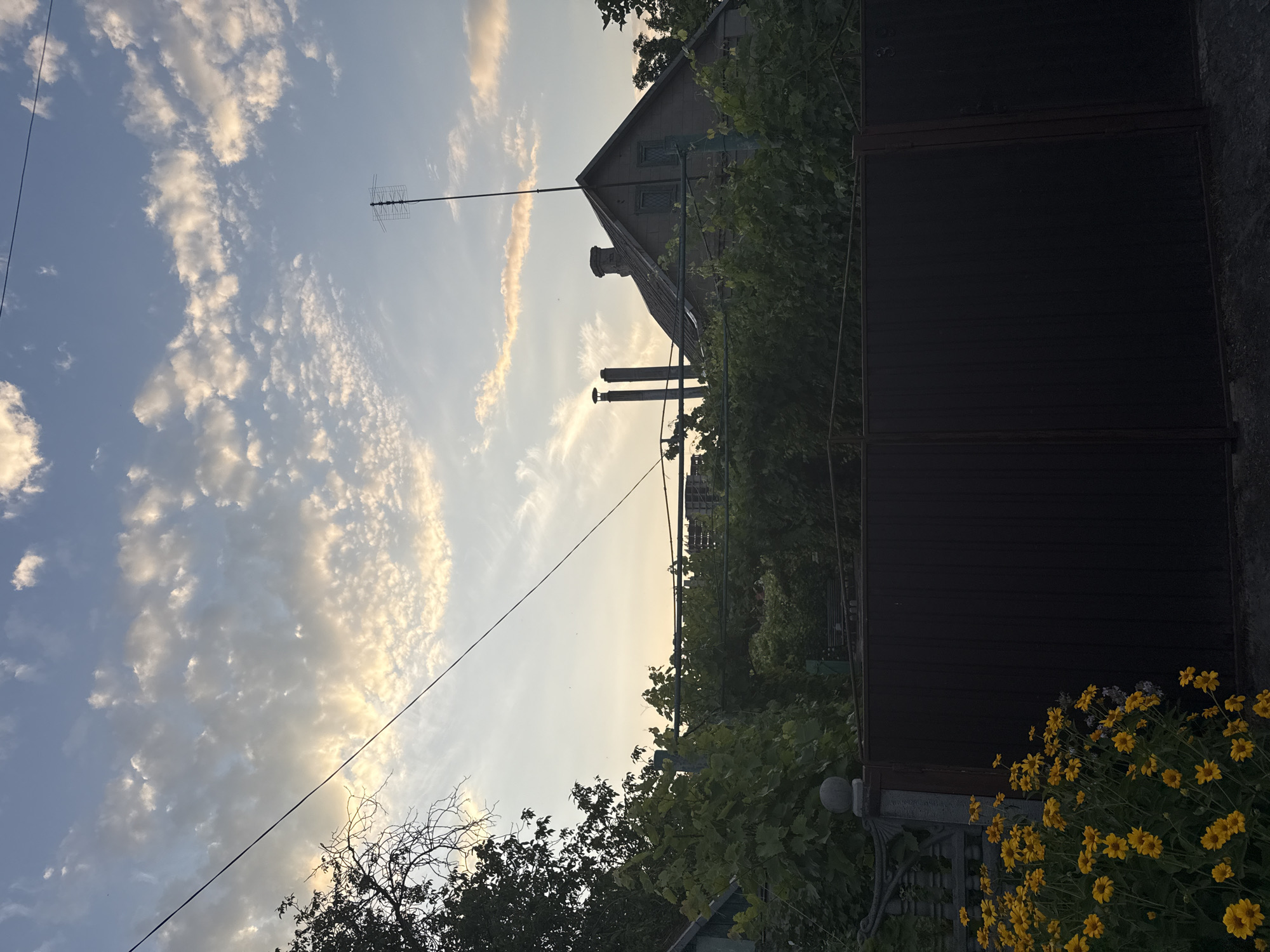 This is a vertically oriented, low-angle, outdoor photograph taken in what appears to be a backyard or garden area. The time of day is likely late afternoon or early evening, indicated by the warm, golden light illuminating the sky and clouds. The sky is a pale blue with scattered white and wispy clouds, some of which are catching the sunset light and appear tinged with orange and yellow.
Prominently featured in the mid-ground is the roof and upper portion of a light-colored house with a prominent gable. A chimney is visible on the roof, and two smokestacks or pipes are rising near the house. An antenna is mounted on a pole, extending upwards into the sky. To the right of the house, a dark brown, corrugated metal fence or gate dominates the right side of the frame, creating a strong vertical element and obscuring the background.
In the foreground and mid-ground, lush green foliage from trees and possibly vines is visible, with some branches extending into the frame. The lower right corner features a vibrant cluster of yellow flowers, possibly daisies or similar wildflowers, in bloom. A thin black electrical wire stretches diagonally across the sky from the left side of the frame. In the distance, some buildings and trees are visible, silhouetted against the bright sky. The overall atmosphere is peaceful and serene, suggesting a quiet rural or suburban setting. No people or explicit text are visible in the image.