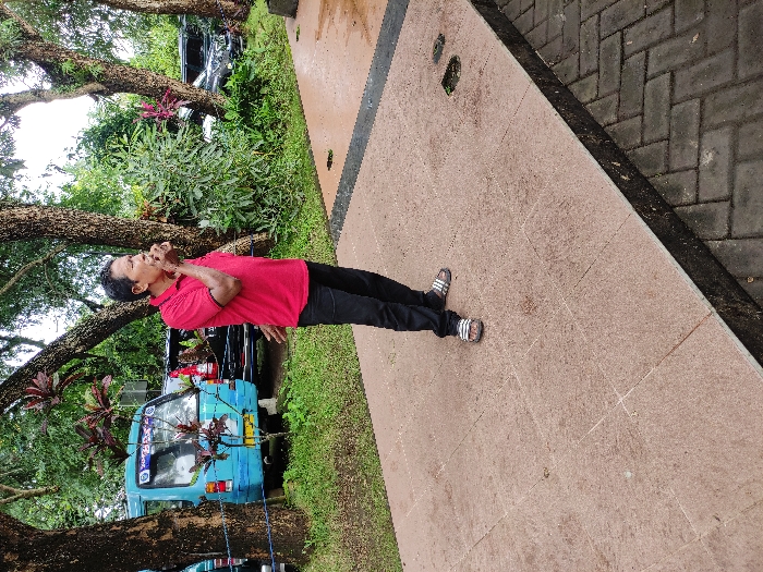 A man stands upright on a paved path in an outdoor setting, looking upwards and slightly to his left. He is wearing a red short-sleeved polo shirt, dark long pants, and striped slide sandals. His right hand is raised towards his chin or mouth, suggesting contemplation or observation of something above.

The setting appears to be a park or a landscaped area in Kepanjen, Indonesia. To the man's left, there is a grassy expanse with several large trees featuring thick, textured trunks and dense green foliage. A variety of smaller plants and bushes are also present, some with reddish leaves. Partially visible behind the man and among the trees is a light blue mini-truck or van, typical of older models found in the region, with some unreadable white text and symbols on its rear window or body. Further back, parts of other darker vehicles are visible, obscured by the greenery.

The ground beneath the man is a light reddish-brown paved pathway, composed of square or rectangular tiles. To the right of this pathway, separated by a dark, thin border, is another section of darker grey block paving, laid in a rectangular pattern. The overall lighting suggests it is daytime, possibly overcast, given the soft, diffused light and lack of harsh shadows. The lush vegetation indicates a humid climate. The man's expression seems thoughtful or curious as he gazes skyward.