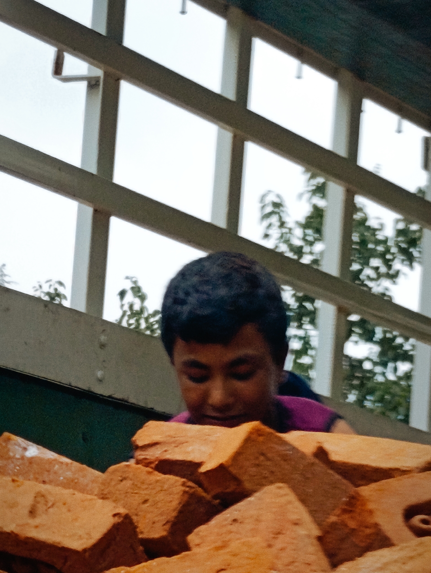 An adolescent boy is viewed from the chest up, looking downwards at a pile of bricks in the foreground. He has short, dark, curly hair and is wearing a purple shirt. The background consists of a white sky with a grid-like structure of light-colored beams, possibly part of a building's roof or scaffolding. Green foliage is visible through the grid. The image appears to have been taken outdoors in Vashisht, India, given the lighting and the style of construction.