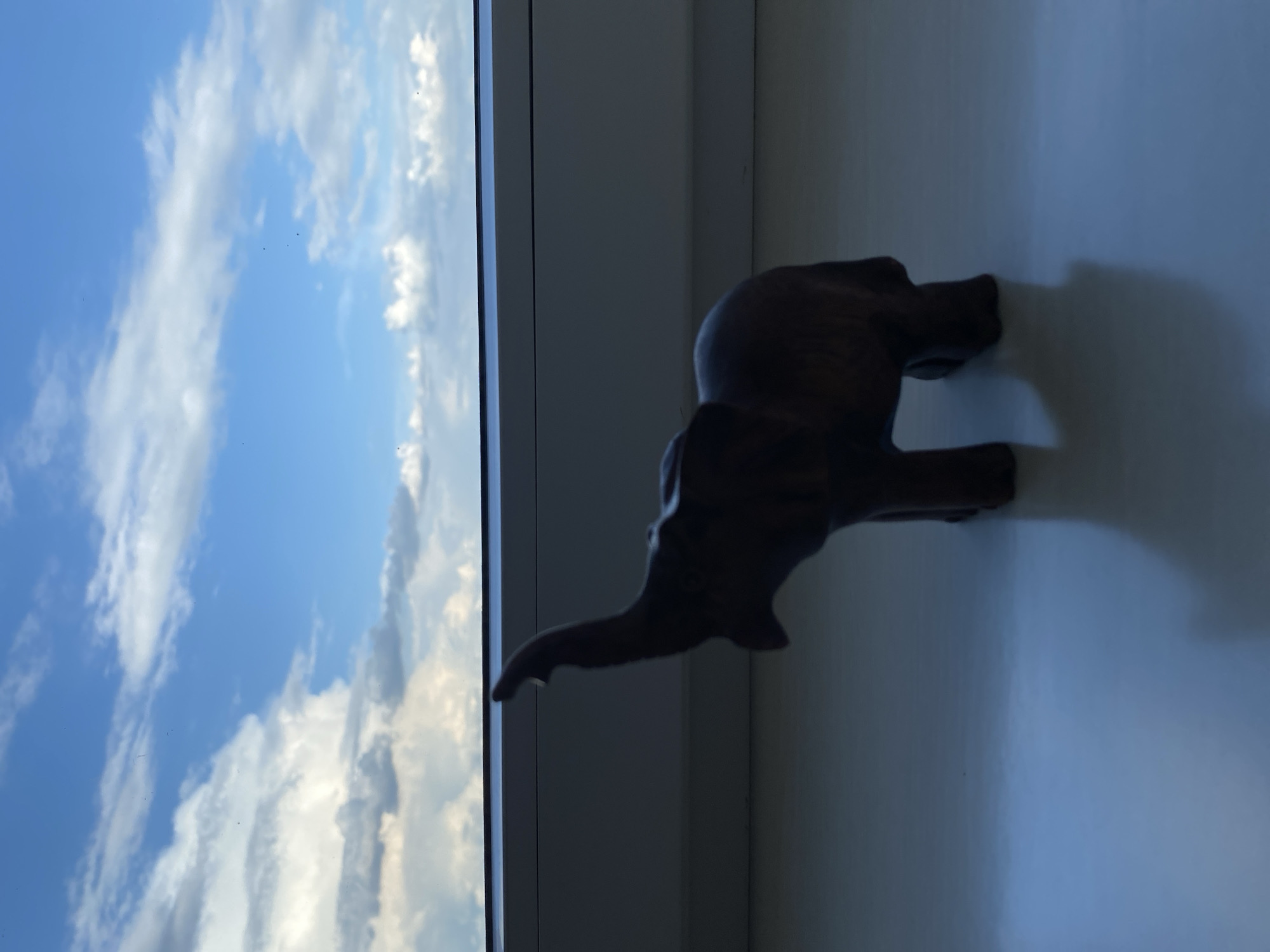 A dark silhouette of a small elephant figurine stands on a reflective surface, its trunk raised upwards. The figurine is positioned on a windowsill, with a bright blue sky filled with white and gray clouds visible through a window behind it. The windowsill is white and casts a shadow of the elephant onto the reflective surface below. The overall lighting suggests it is daytime. The location is Unknown, Unknown.