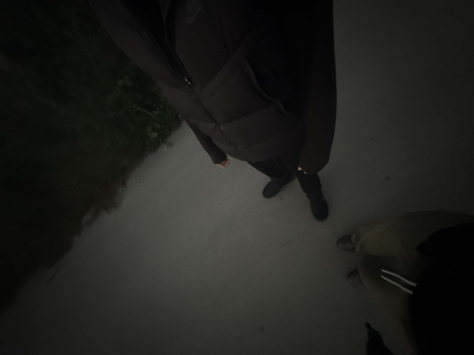 The image depicts a low-angle perspective of two individuals standing on a paved surface, possibly a sidewalk or path, in Radishevo, Bulgaria. The lighting suggests it is either dusk or nighttime, with limited illumination.
The person on the right is wearing a dark, puffy jacket and dark pants. Their legs and feet are visible, and they appear to be standing or walking.
The person on the left is wearing lighter colored pants, possibly beige or khaki, with white drawstrings visible at the waist. Their footwear appears to be dark. This individual is positioned further away from the camera than the person on the right.
Adjacent to the paved area, on the upper right side of the frame, is a patch of dark vegetation, likely trees or bushes, adding to the dim and naturalistic environment. The overall scene conveys a sense of casual movement or standing in an outdoor urban or semi-urban setting within Radishevo.