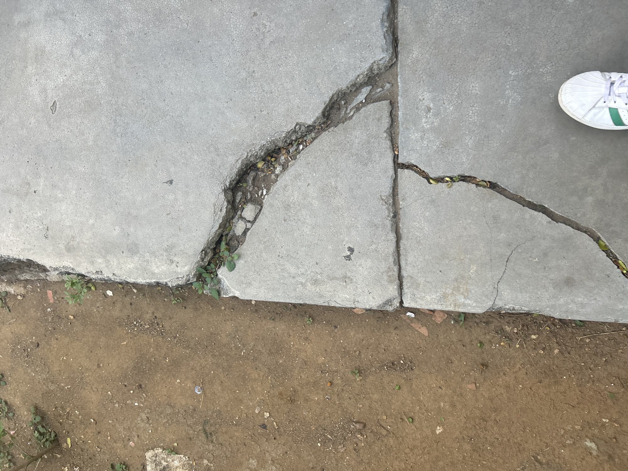 The image shows a section of a cracked concrete sidewalk next to a dirt path. Several cracks are visible in the concrete, with some sections broken away and exposing the underlying material. Small plants are growing in the cracks and along the edge of the sidewalk. The dirt path is uneven and appears to be composed of soil and small stones. A white sneaker with green stripes is visible in the bottom right corner of the image. The overall scene suggests an outdoor environment in need of repair. This scene is located in Santa Ana, Venezuela.