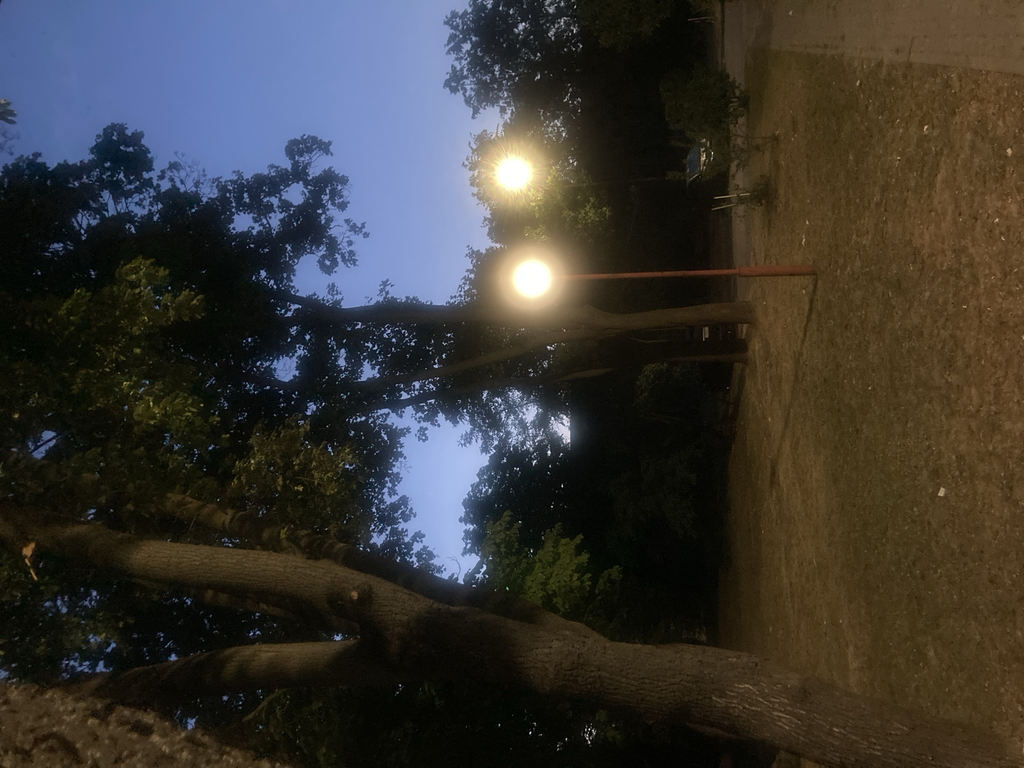 An outdoor shot captures a park area in Brest, Belarus, at dusk. Two streetlights, one on the left and one on the right, illuminate the scene with a warm glow. The streetlight on the left is closer and appears to be mounted on a red pole, with a circular fixture. The streetlight on the right is further back and also has a circular light source. In the foreground, a large tree trunk dominates the left side of the frame, its bark textured and rough. The ground is covered in dry grass and scattered leaves, with a paved path visible on the right edge of the image. Behind the streetlights, dense foliage and trees create a dark backdrop against the twilight sky. A dark-colored vehicle is partially visible in the background on the right. The overall atmosphere is tranquil and dimly lit, characteristic of a park after sunset.