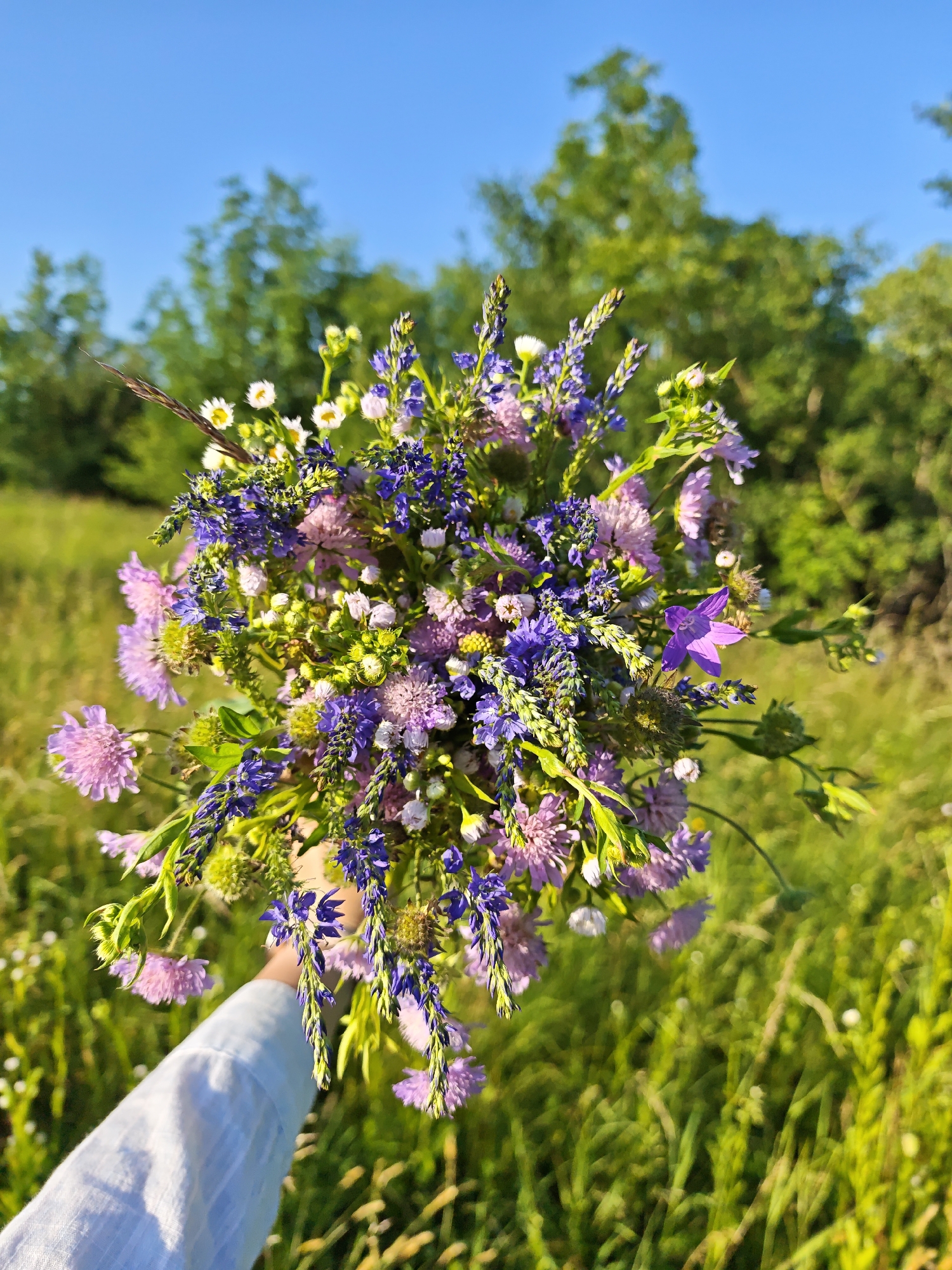 In Parkhomivka, Ukraine, a person's arm, clad in a light blue shirt, holds a vibrant bouquet of wildflowers against a backdrop of a clear blue sky and lush green fields. The bouquet is a colorful arrangement of purple and pink flowers, with delicate white and yellow accents, interspersed with green foliage and thin stalks of grass. The background is softly blurred, suggesting a sunny day in a rural or park setting, with trees visible in the distance.