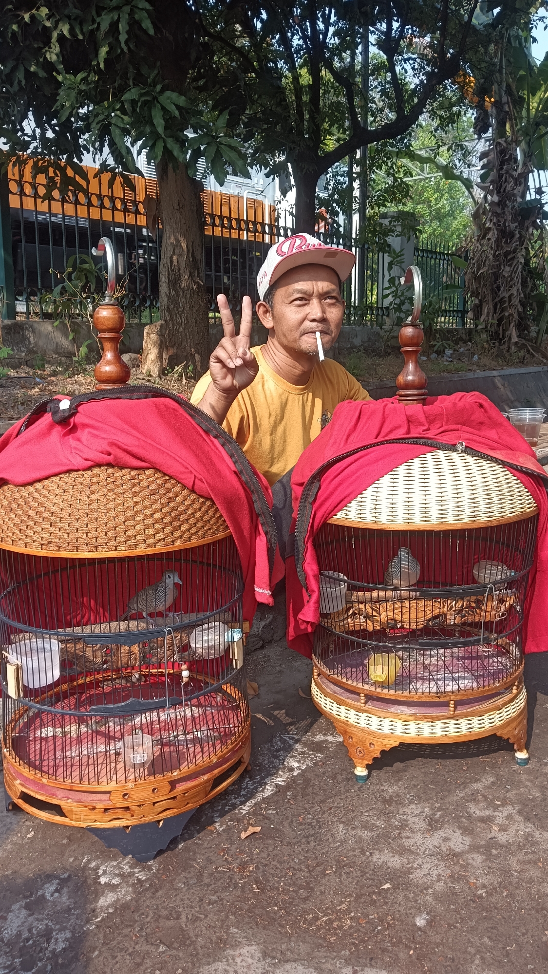 In Surakarta, Indonesia, a man is pictured sitting outdoors on a paved surface, possibly a sidewalk or street, with two decorative bird cages in the foreground. He is wearing a yellow t-shirt and a baseball cap, and is smoking a cigarette while holding up two fingers in a peace sign. The bird cages are made of woven material with red fabric draped over them, and each contains at least one bird. The background shows trees, foliage, a black metal fence, and a structure that appears to be a building or vehicle. The scene is lit by natural sunlight.