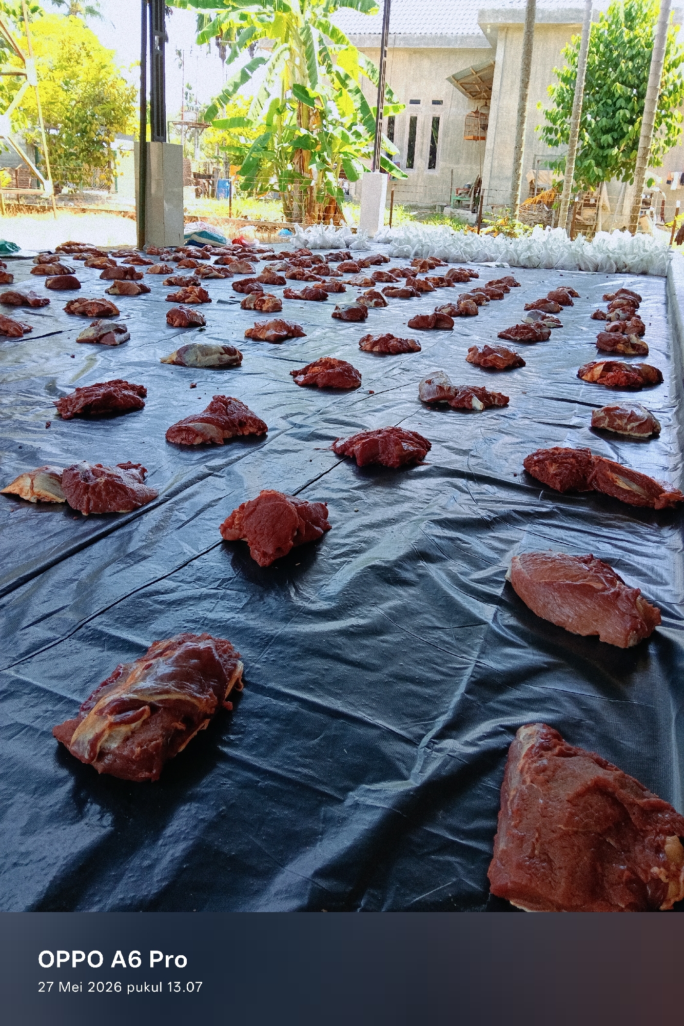 The image shows a large collection of raw meat pieces spread out on a black plastic sheet. This sheet is laid out under a structure with support columns, potentially a shelter or open-air building. Bags of items are stacked in the background. The environment includes vegetation and a building. The scene is located in Blangkutacoh, Indonesia. No people are visible.