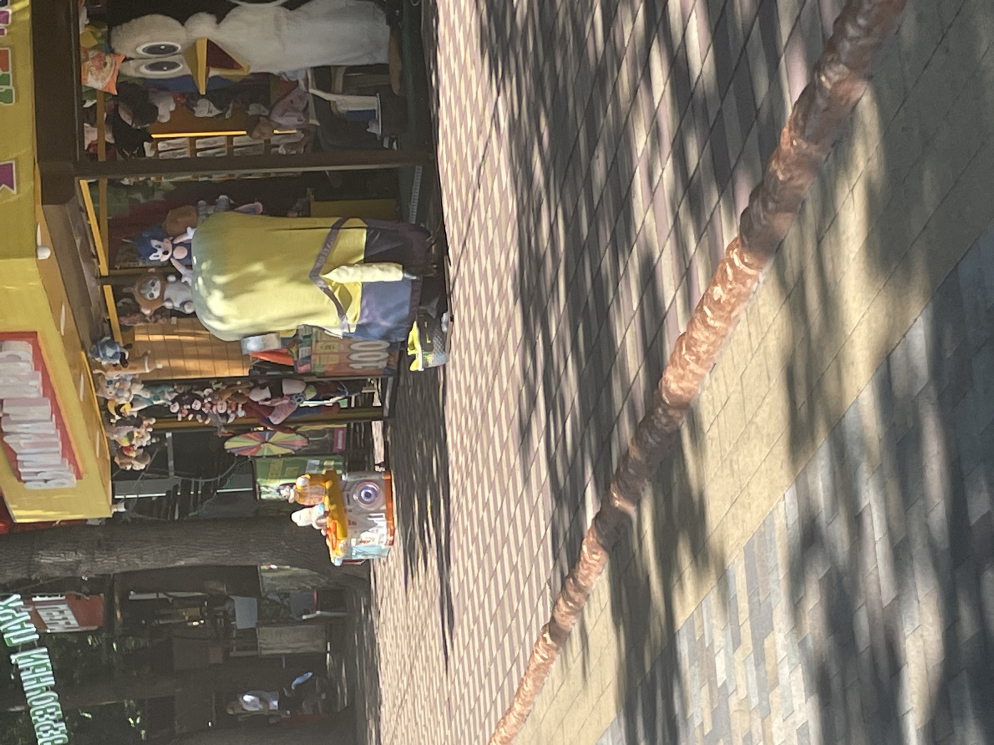 The image shows an outdoor scene with a variety of stuffed animals displayed on shelves at what appears to be a market stall or amusement park attraction. A large, yellow Minion character is prominently featured, along with other plush toys, including what looks like a Sonic the Hedgehog character. The stall has a yellow awning and some of the merchandise is packaged in clear plastic.
To the right of the stall is a patterned tiled walkway, with shadows cast by trees suggesting it is daytime, likely sunny. A thick, textured rope or cord runs diagonally across the walkway. In the background, other market stalls or structures are visible, along with trees and foliage.
There is some visible text on a red and white sign on the left side of the image, but it is partially obscured and illegible due to the image rotation. The overall impression is a bright, casual outdoor environment, possibly a leisure or shopping area. There are no people clearly visible in the image.