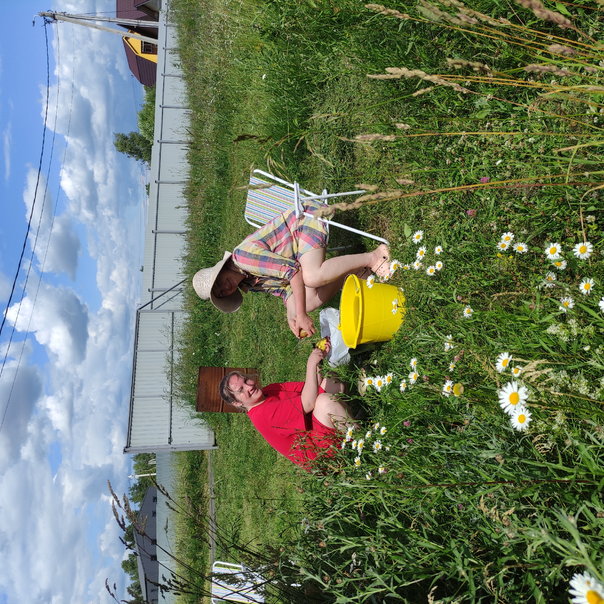 In Timokhovo, Russia, on a sunny day with scattered clouds, two women are engaged in an outdoor activity in a grassy area. The woman on the left, wearing a red t-shirt and shorts, is crouching and appears to be preparing fruit, possibly apples, which she is peeling with a knife. Beside her is a white plastic bag and a yellow bucket filled with liquid, likely water, into which she is placing the peeled fruit. The woman on the right is seated in a striped camping chair and is also peeling fruit. She is wearing a wide-brimmed straw hat and a checkered shirt over shorts. Both women are smiling and appear relaxed. The environment is characterized by lush green grass dotted with white daisies and other wildflowers. In the background, a light gray metal fence runs horizontally, beyond which are trees and residential buildings with dark roofs. A wooden barrel and another barrel-like structure are visible near the fence. A power line stretches across the top of the frame.