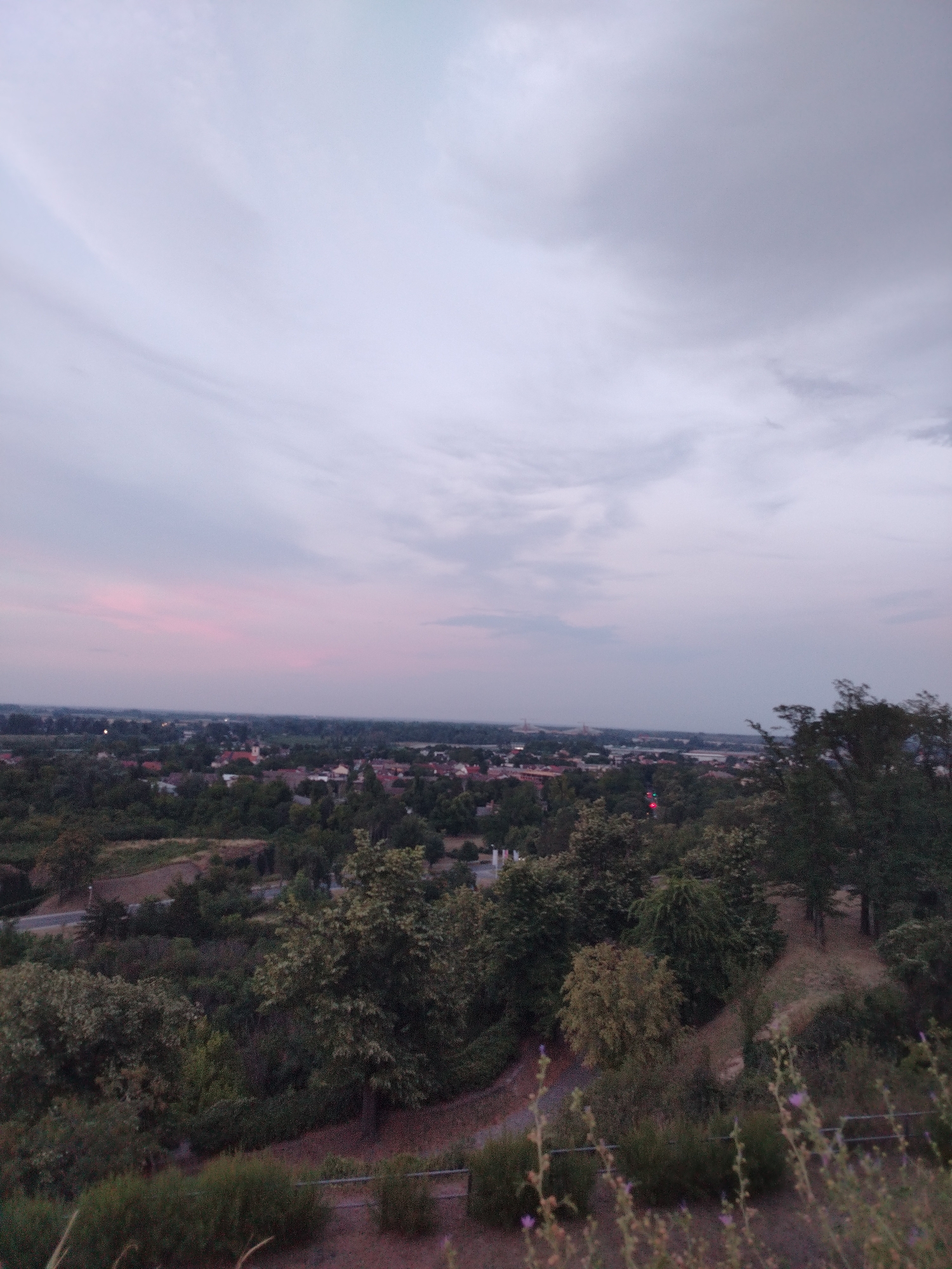 The image captures a panoramic view of the city of Petrovaradin, Serbia, as dusk settles. The sky is overcast with a pale pink hue near the horizon, indicative of the fading sunlight. Below, a dense expanse of trees dominates the foreground and mid-ground, with various shades of green and brown indicating the foliage. Nestled within the greenery is a section of the city, characterized by red-tiled roofs and scattered buildings. A church spire is visible amongst the structures. A road can be seen winding through the landscape. The overall scene is tranquil, with no people or specific actions depicted. The atmosphere suggests a quiet evening in a semi-rural or suburban part of the city, viewed from an elevated position.