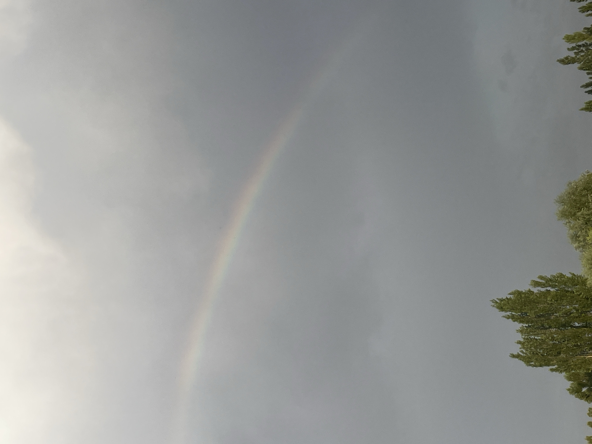 The image captures a portion of the sky above Bujum, Kyrgyzstan. A faint rainbow arcs across the overcast, gray sky. Below the sky, the tops of several tall, green trees are visible against the dark clouds. The trees appear to be deciduous, with dense foliage. The scene suggests a post-rain or approaching stormy weather condition. There are no people or specific objects of interest other than the natural elements. The lighting is diffused due to the cloud cover.