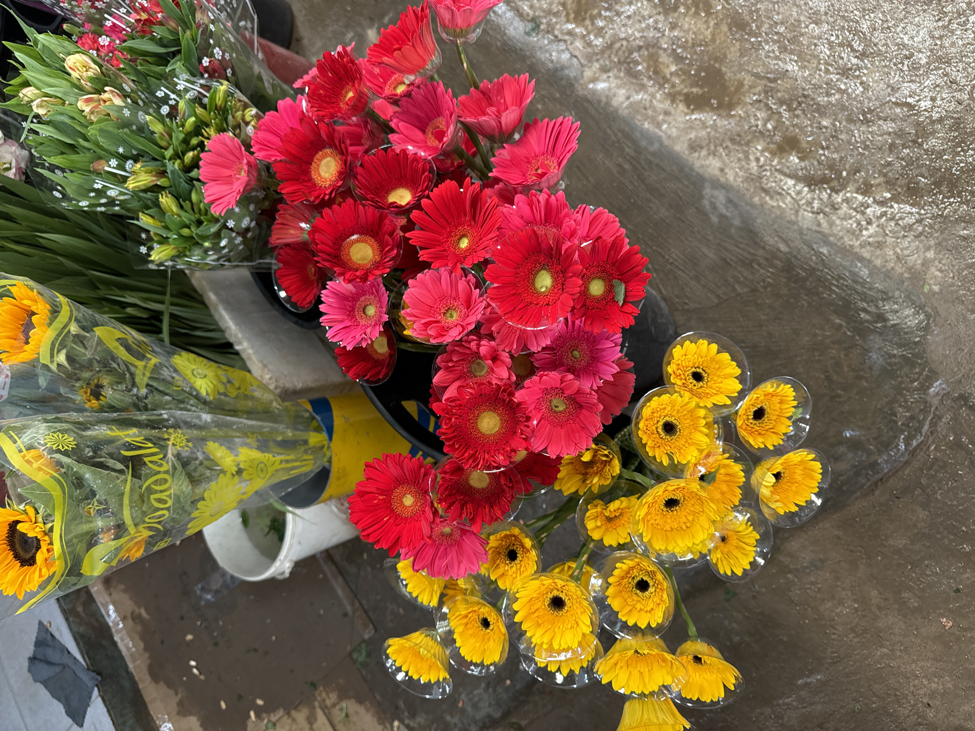 The image captures a close-up, high-angle view of a vibrant flower stall in Mũi Né, Vietnam. In the foreground, an assortment of bright gerbera daisies are displayed in buckets. Yellow and orange gerberas are arranged on the left, their petals individually encased in clear plastic. To the right, a cluster of hot pink and red gerberas are visible. Behind these, bunches of sunflowers in yellow wrapping and other flowers with green stems and pink buds are also present. The flowers are placed on a wet, textured ground that appears to be concrete or asphalt, suggesting an outdoor setting possibly after rain or from a watering. The lighting indicates it is daytime. There are no people or animals visible in the frame.