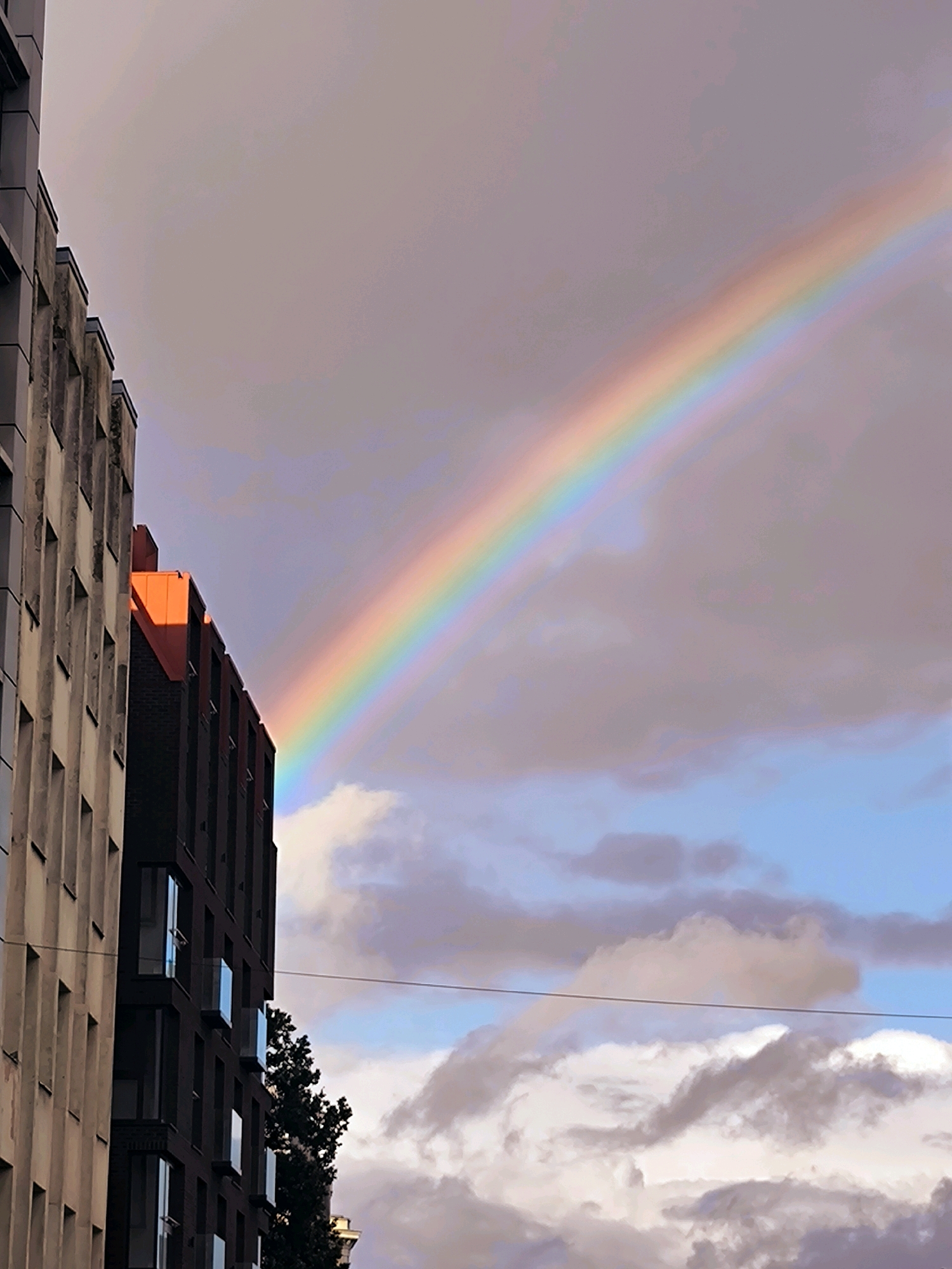 The image captures a vibrant rainbow arching across a cloudy sky above a city. On the left, a modern building with a facade of rectangular windows is visible, its vertical lines contrasting with the organic curve of the rainbow. To the right of this building, another structure with a dark facade and bright orange accents on its roof is partially obscured. A tall, dark tree emerges from behind this building. In the background, the sky transitions from a hazy purple-grey to patches of clear blue, with soft, billowy clouds. A thin, dark electrical wire runs horizontally across the mid-ground, bisecting the view of the clouds and the lower part of the rainbow. The overall impression is a striking juxtaposition of urban architecture and natural atmospheric phenomena. The location is identified as Riga, Latvia.
