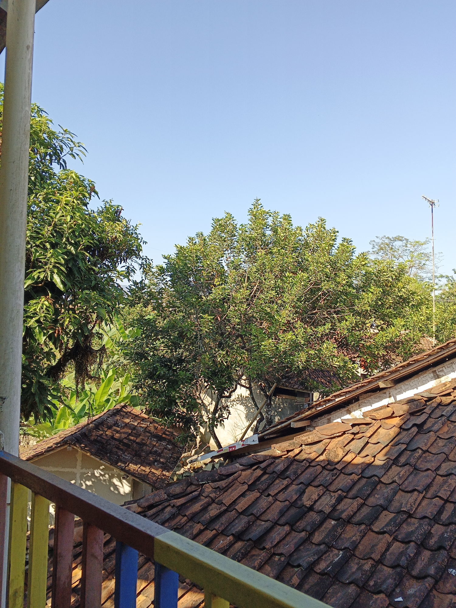 The image shows a view from a balcony or elevated platform looking out over a neighborhood with traditional tiled roofs, lush green trees, and a clear blue sky. In the foreground, a colorful railing with vertical bars of yellow, blue, and red is visible. Beyond the railing, weathered terracotta roof tiles cover several buildings. Mature trees with dense green foliage dominate the middle ground, with banana leaves also visible among them. A metal television antenna on a pole stands tall in the background. The scene suggests a residential area in a tropical or subtropical climate, consistent with the location of Warungkiara, Indonesia, likely captured during daylight hours due to the bright sunlight casting shadows on the roofs. There are no people or animals visible in the image.